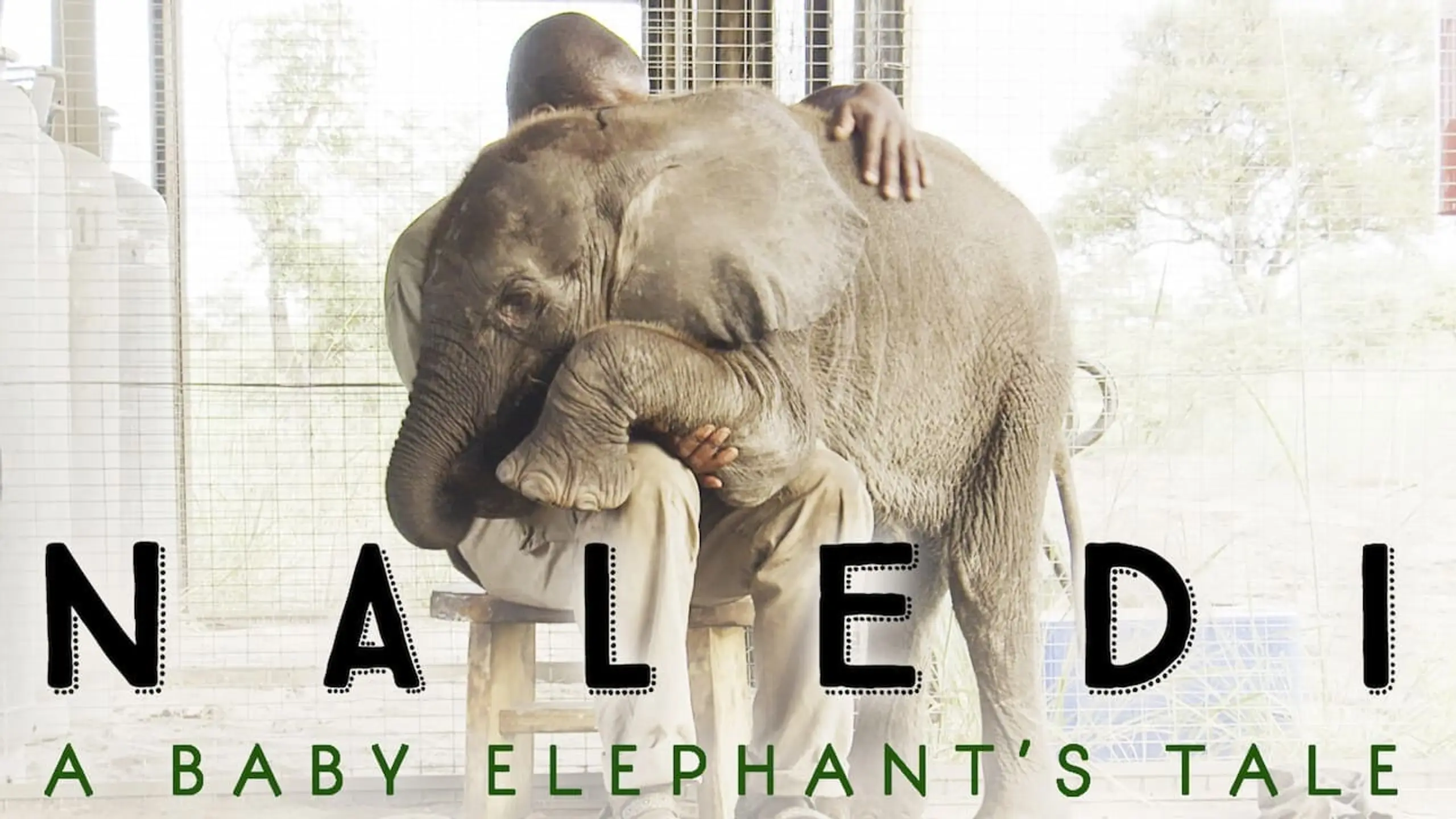 Naledi - Ein Elefantenleben