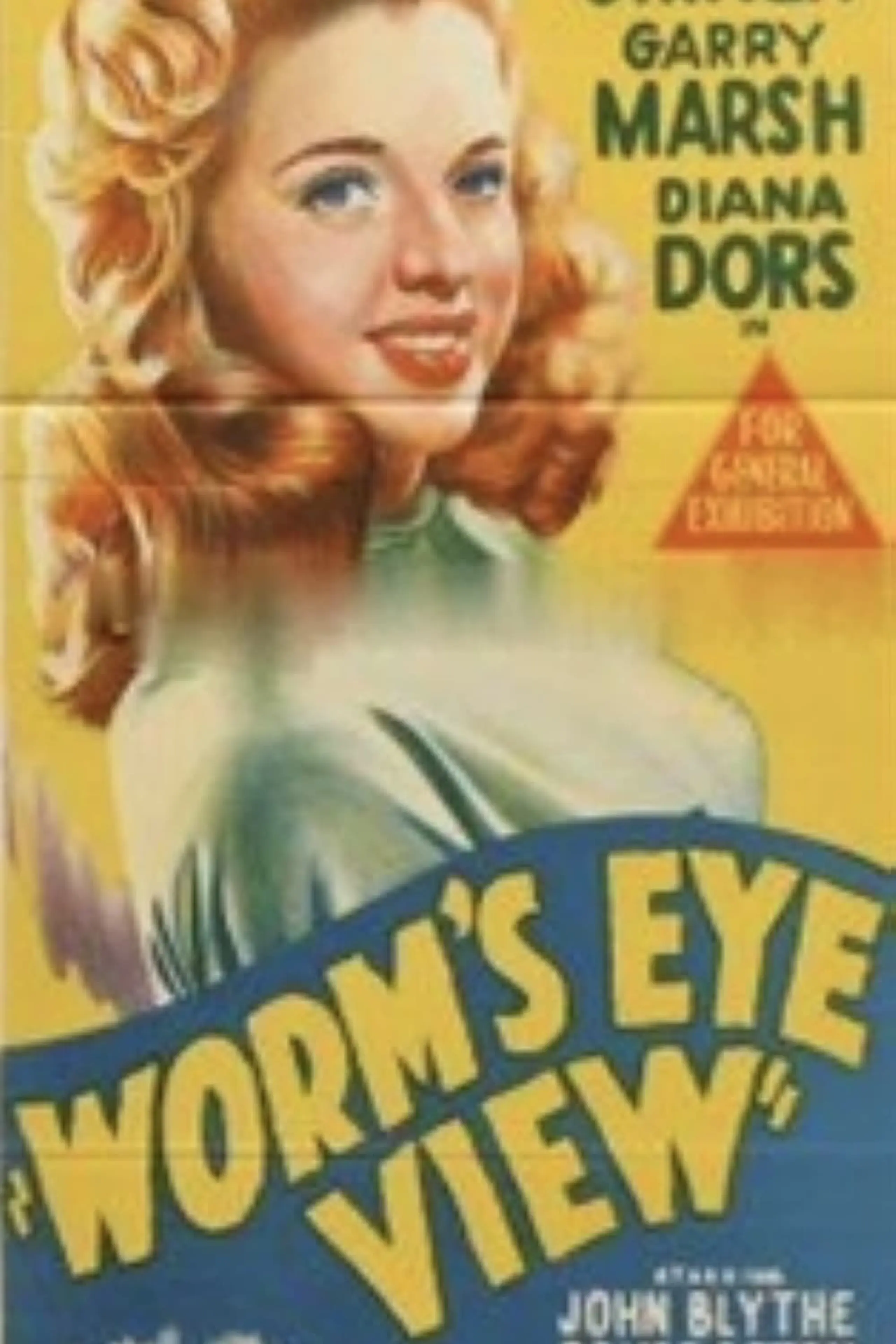Worm's Eye View