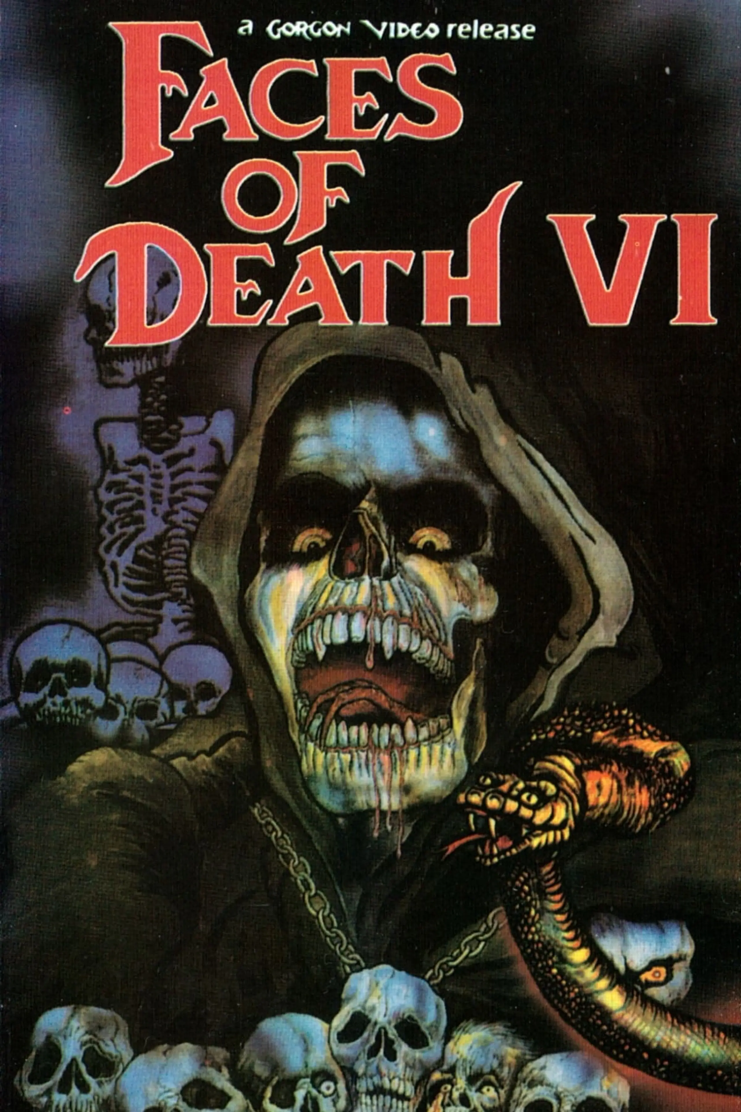 Gesichter des Todes VI