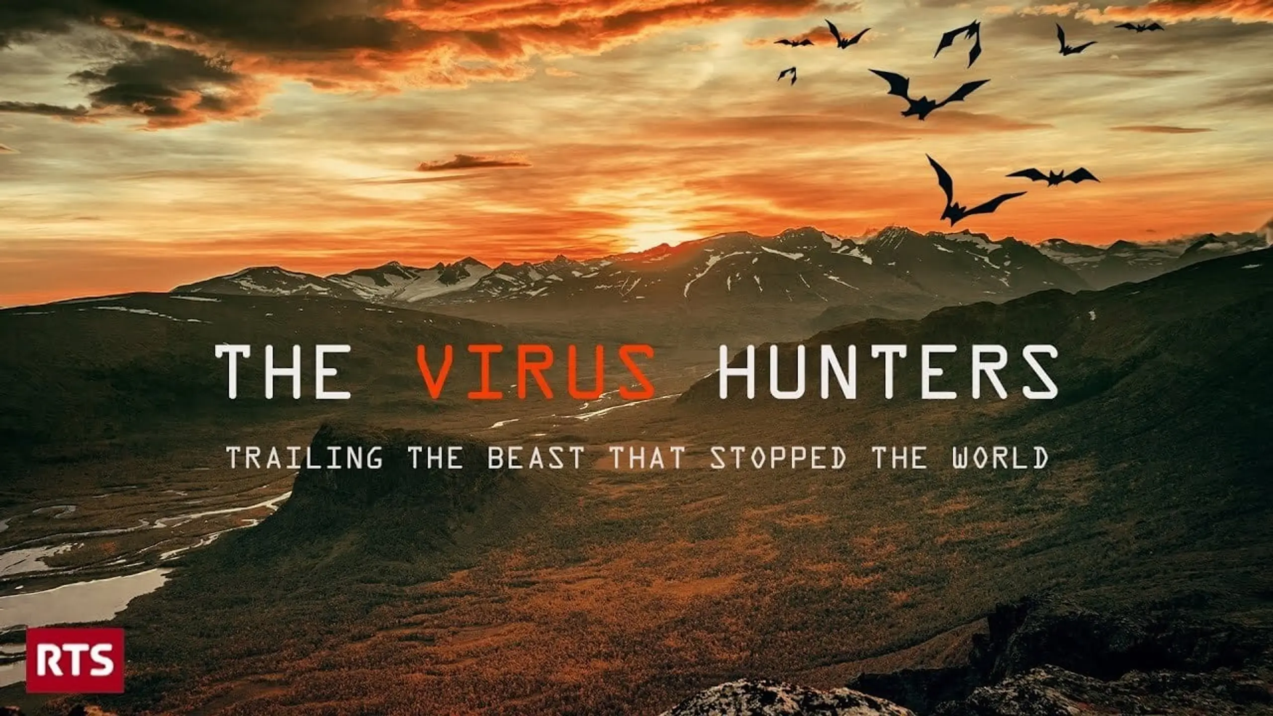 The Virus Hunters : Trailing the Beast That Stopped the Worl‪d
