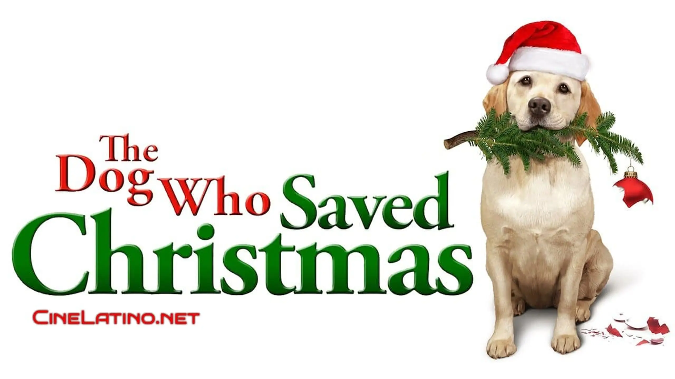 Ein Hund rettet den Weihnachtsurlaub