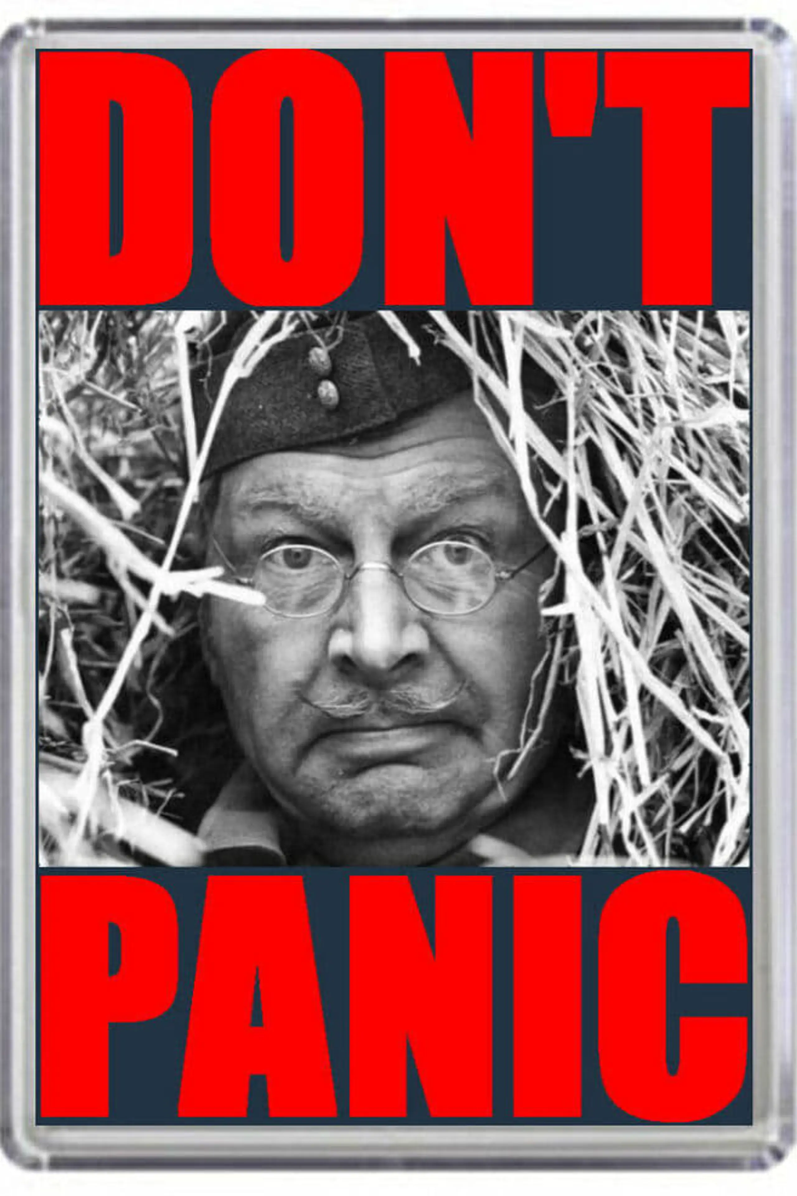 Don't Panic: The Dad's Army Story