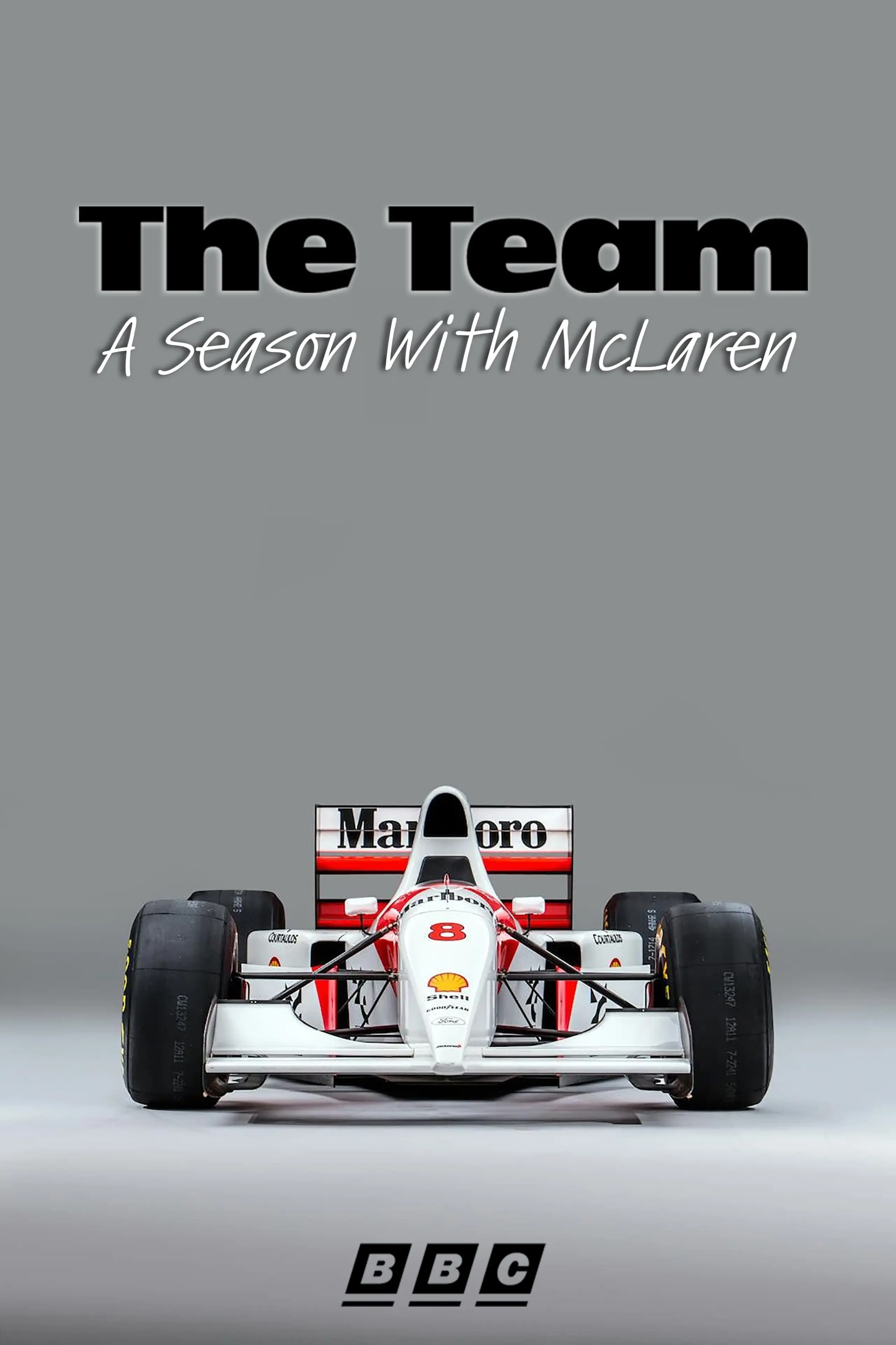 The Team: A Season With McLaren