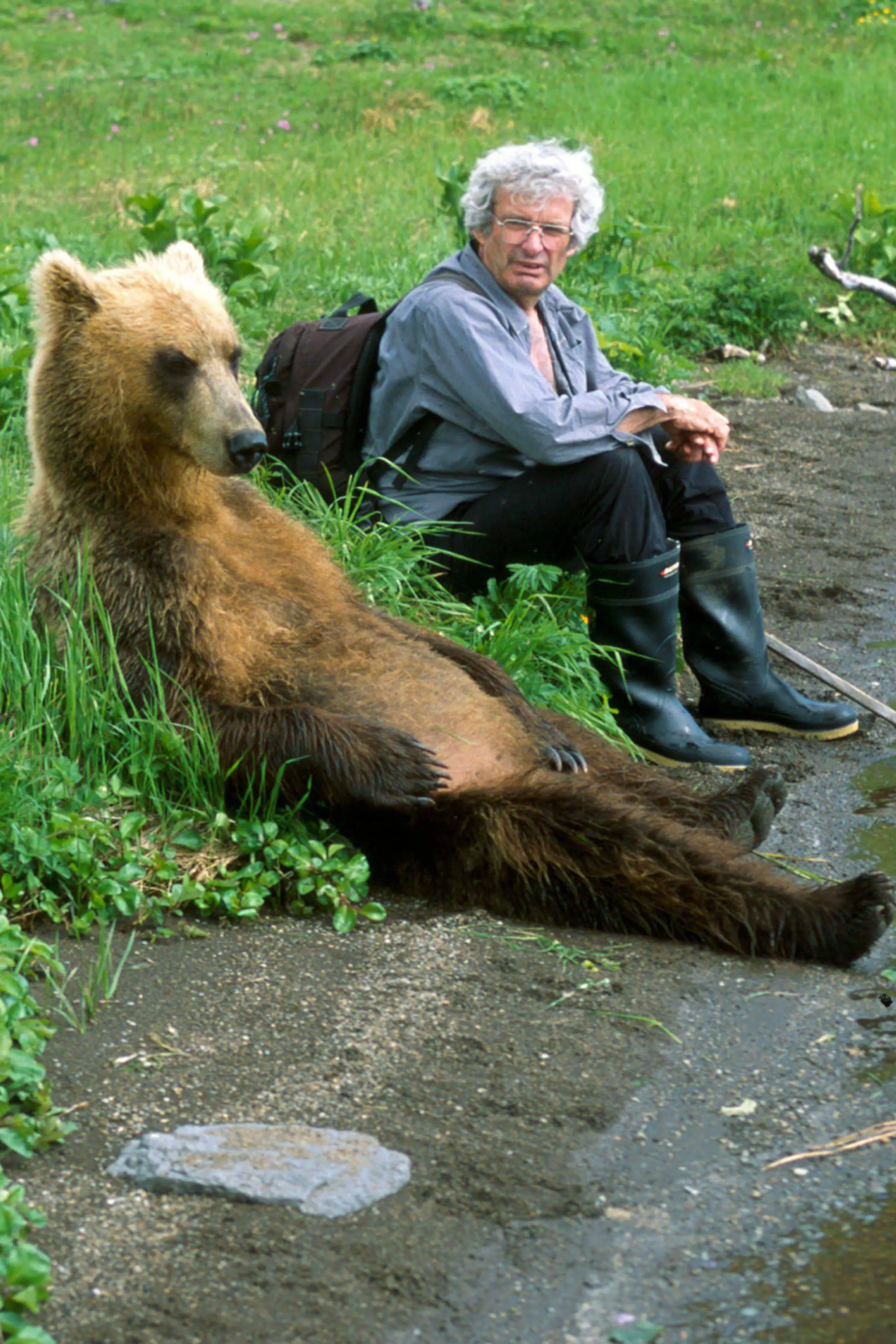 PBS Nature: Walking with Giants, The Grizzlies of Siberia