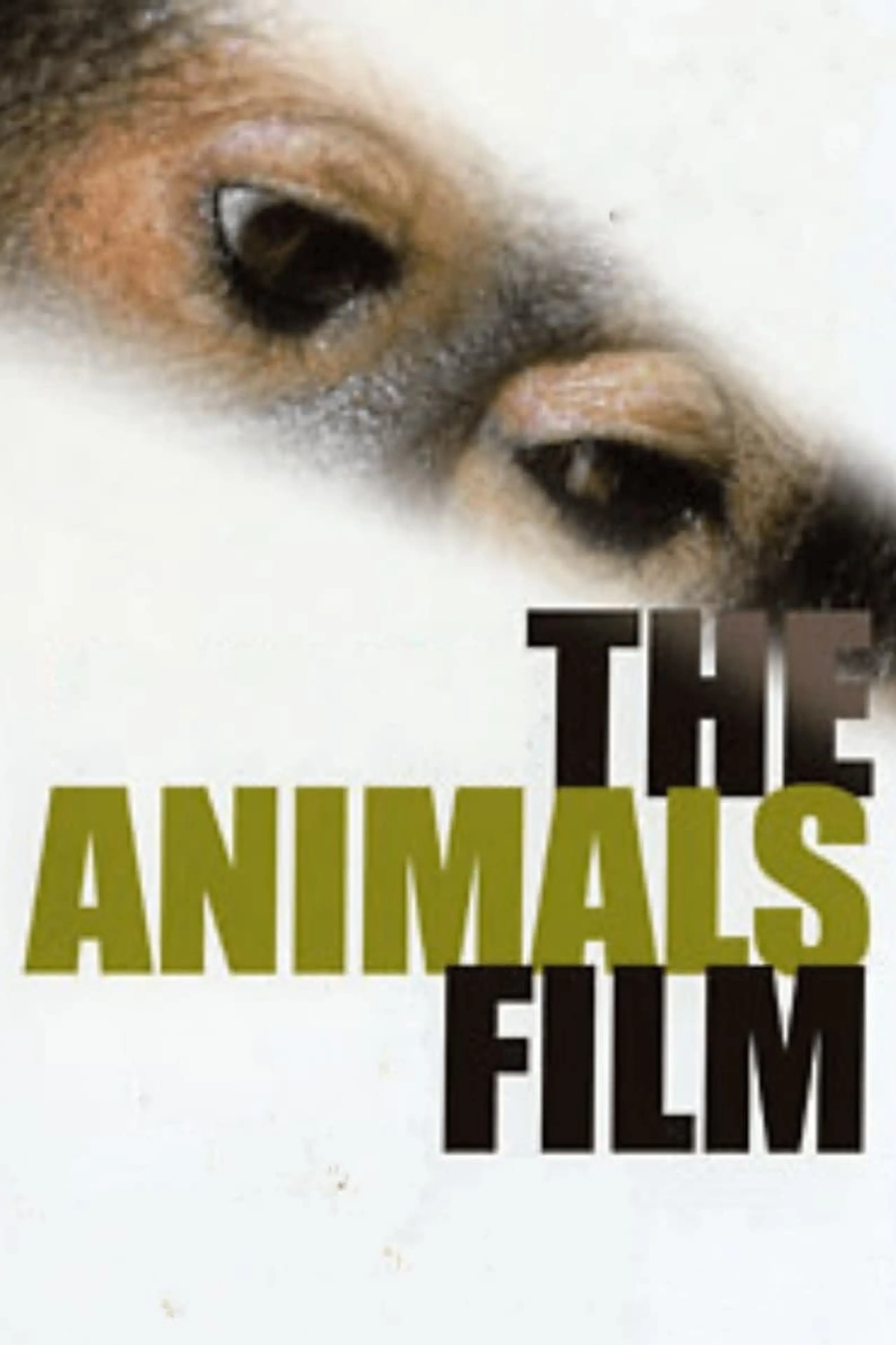 Der Tierfilm