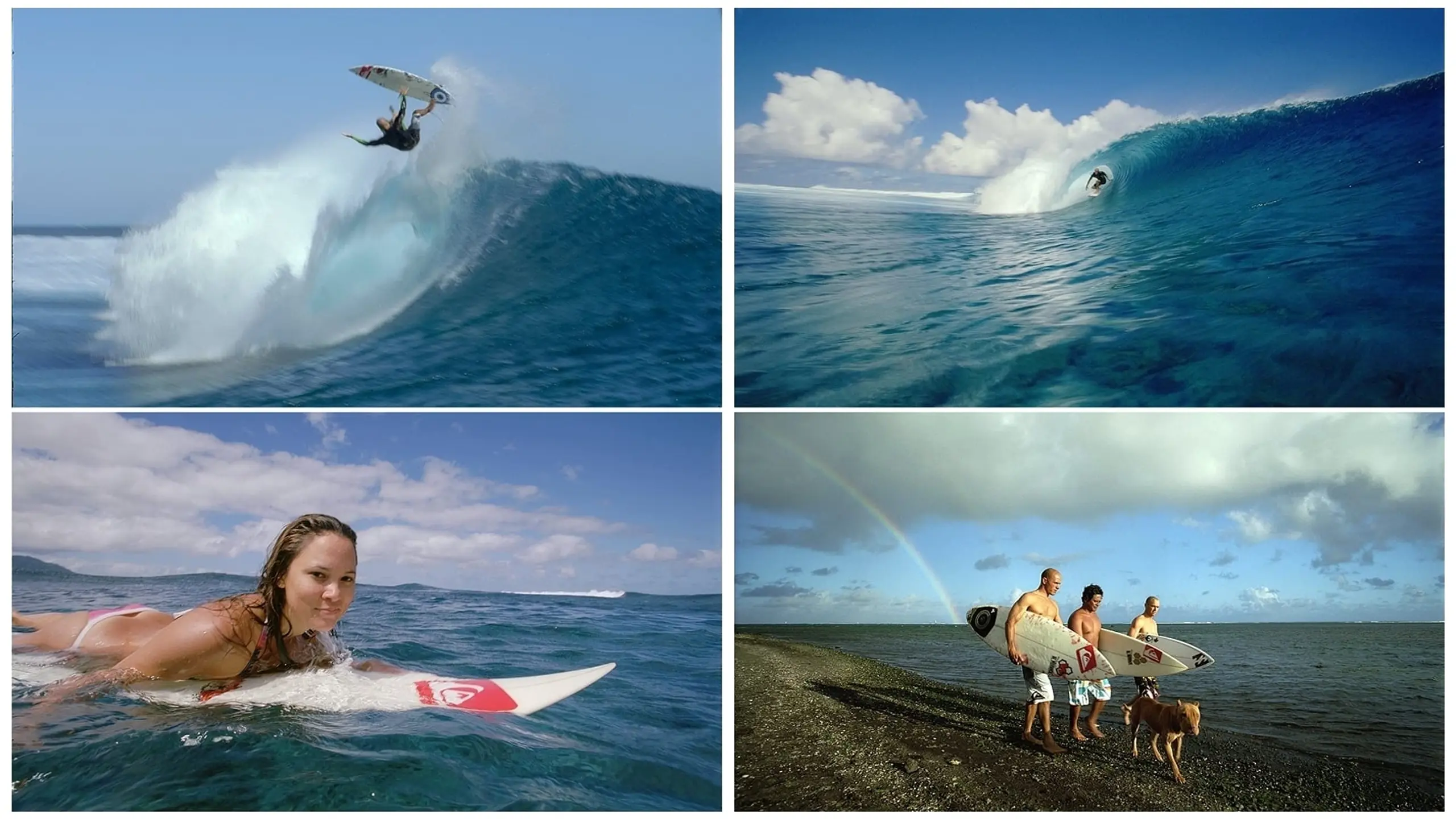IMAX: The Ultimate Wave: Tahiti