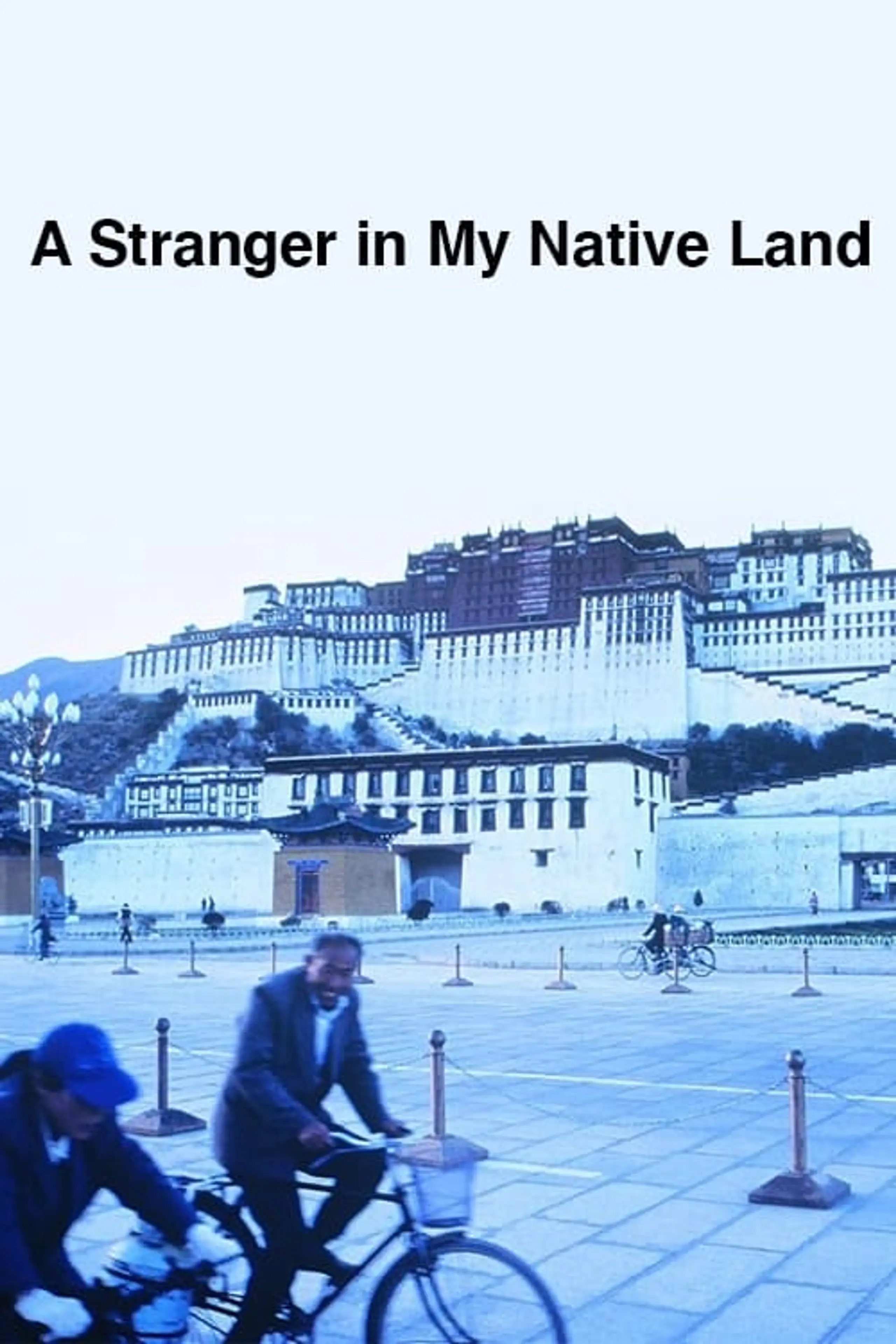 A Stranger in My Native Land