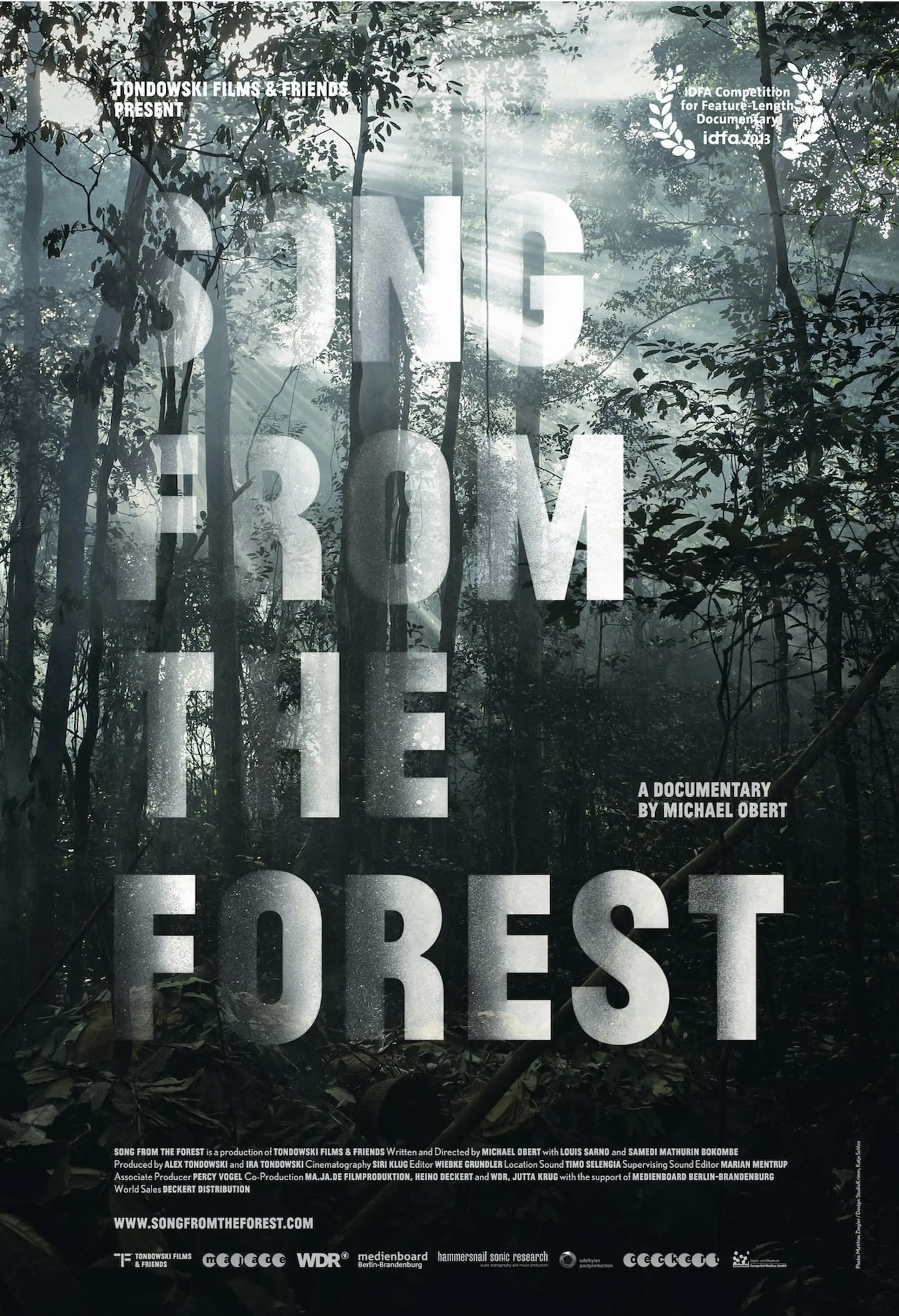 Song from the Forest