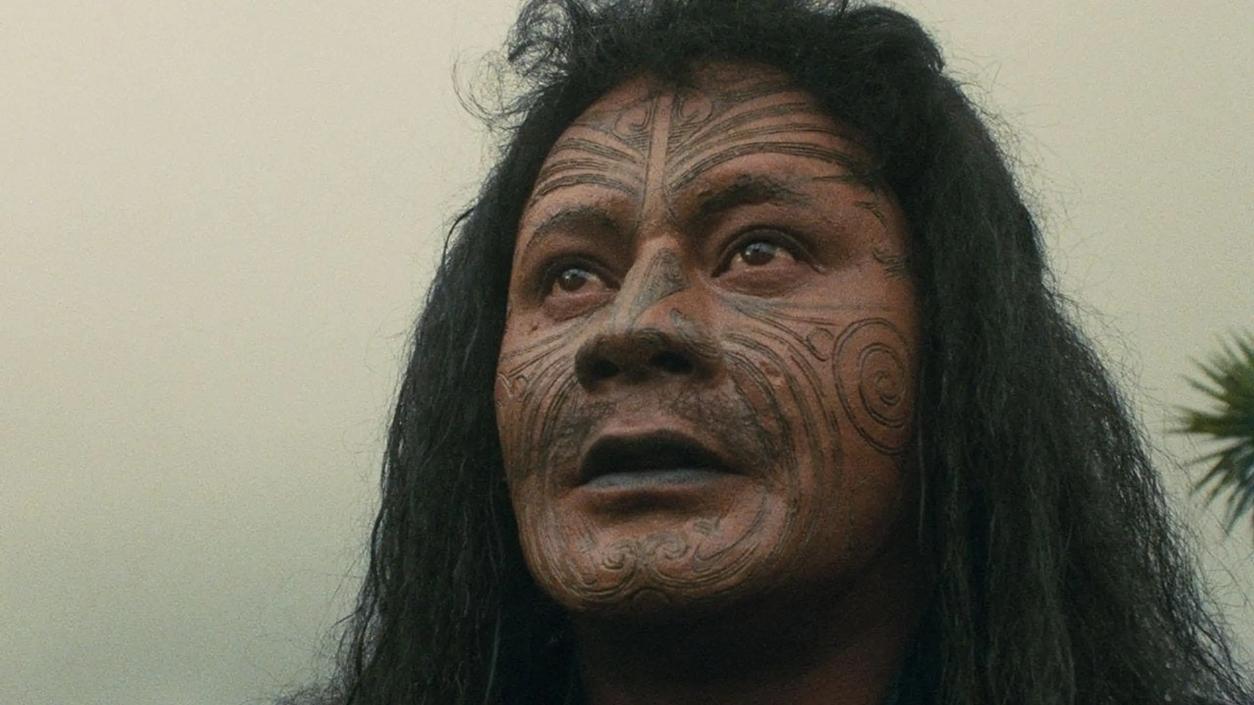 Utu - Die letzte Schlacht der Maoris