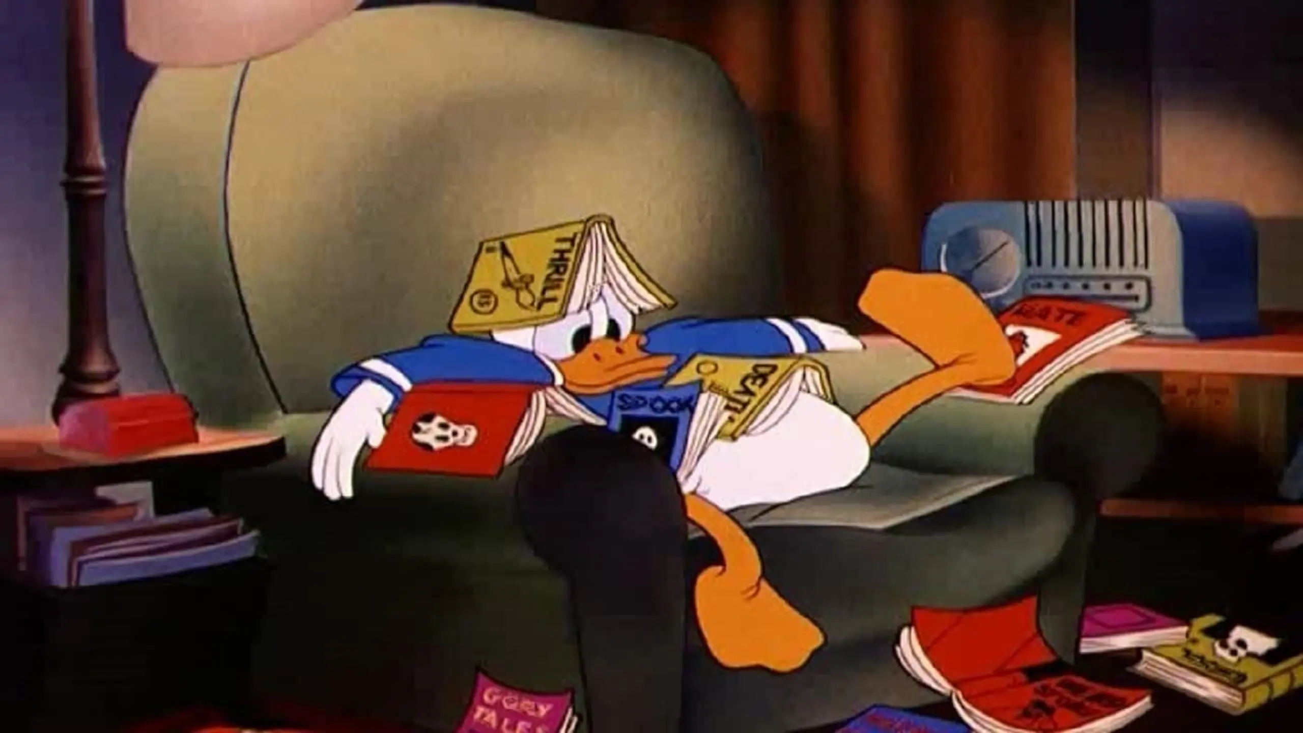Donald und das mysteriöse Buch