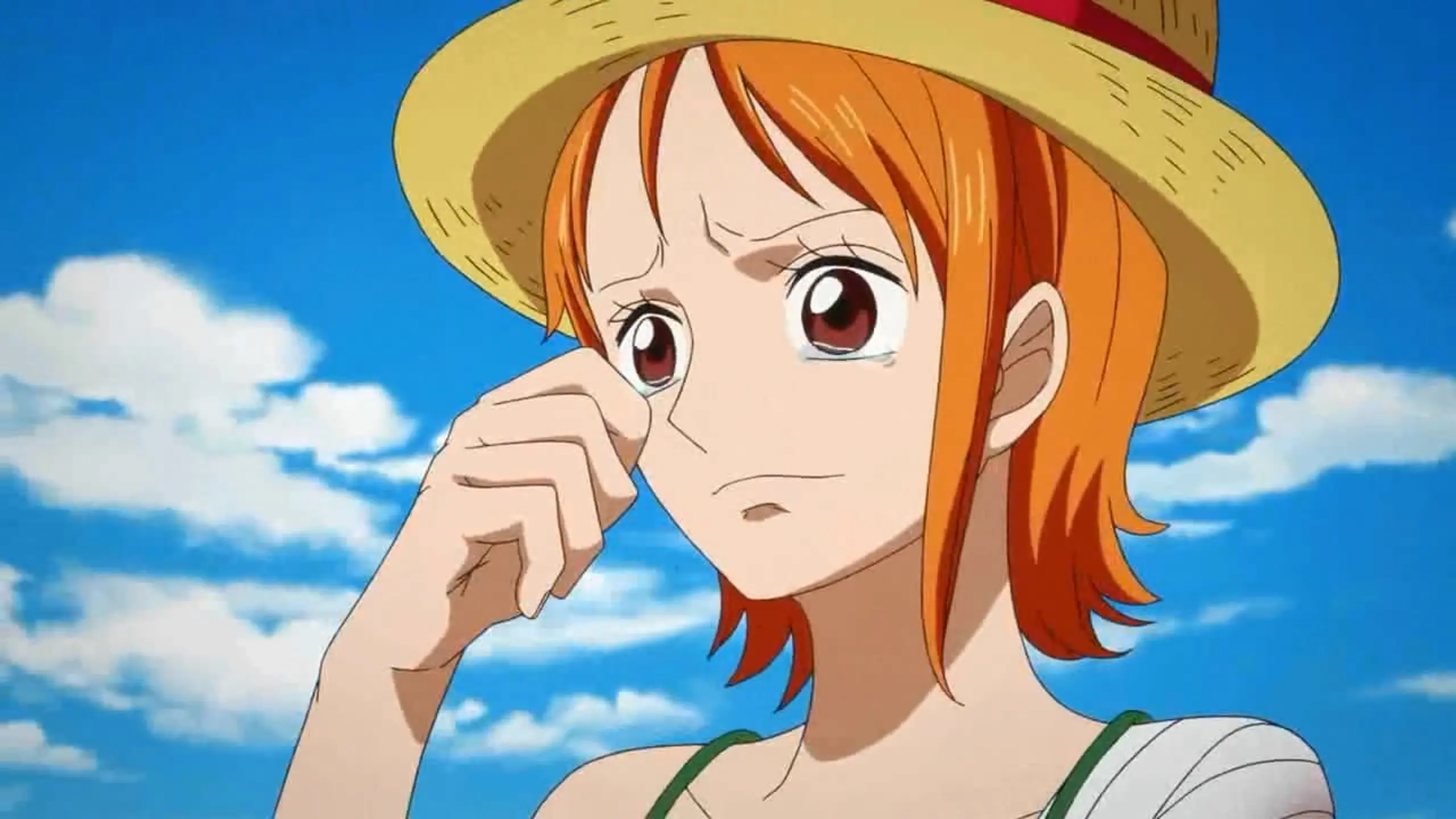 One Piece Special: Episode of Nami - Die Tränen der Navigatorin. Die Verbundenheit der Kameraden.