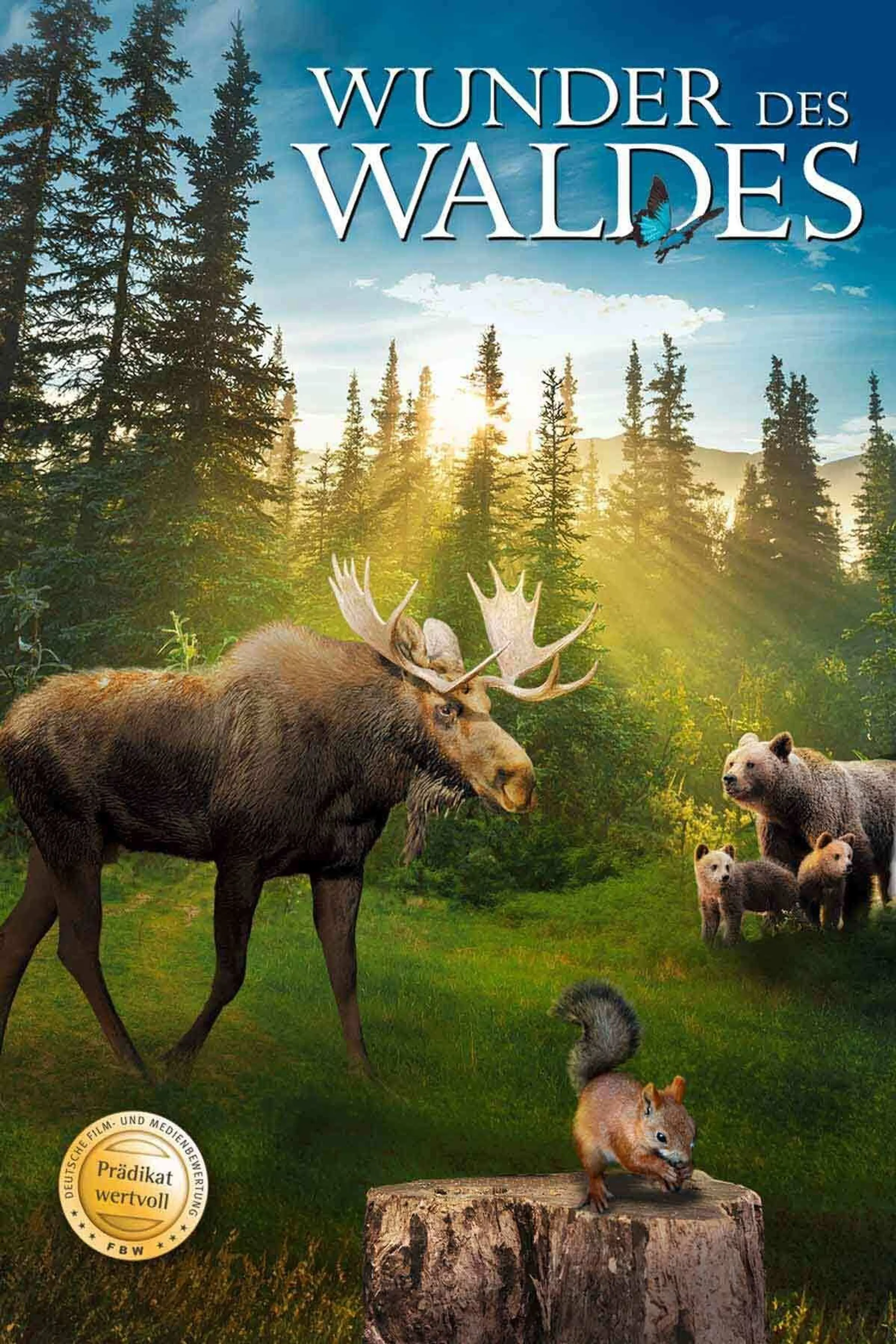 Wunder des Waldes 3D: Tales of a Forest