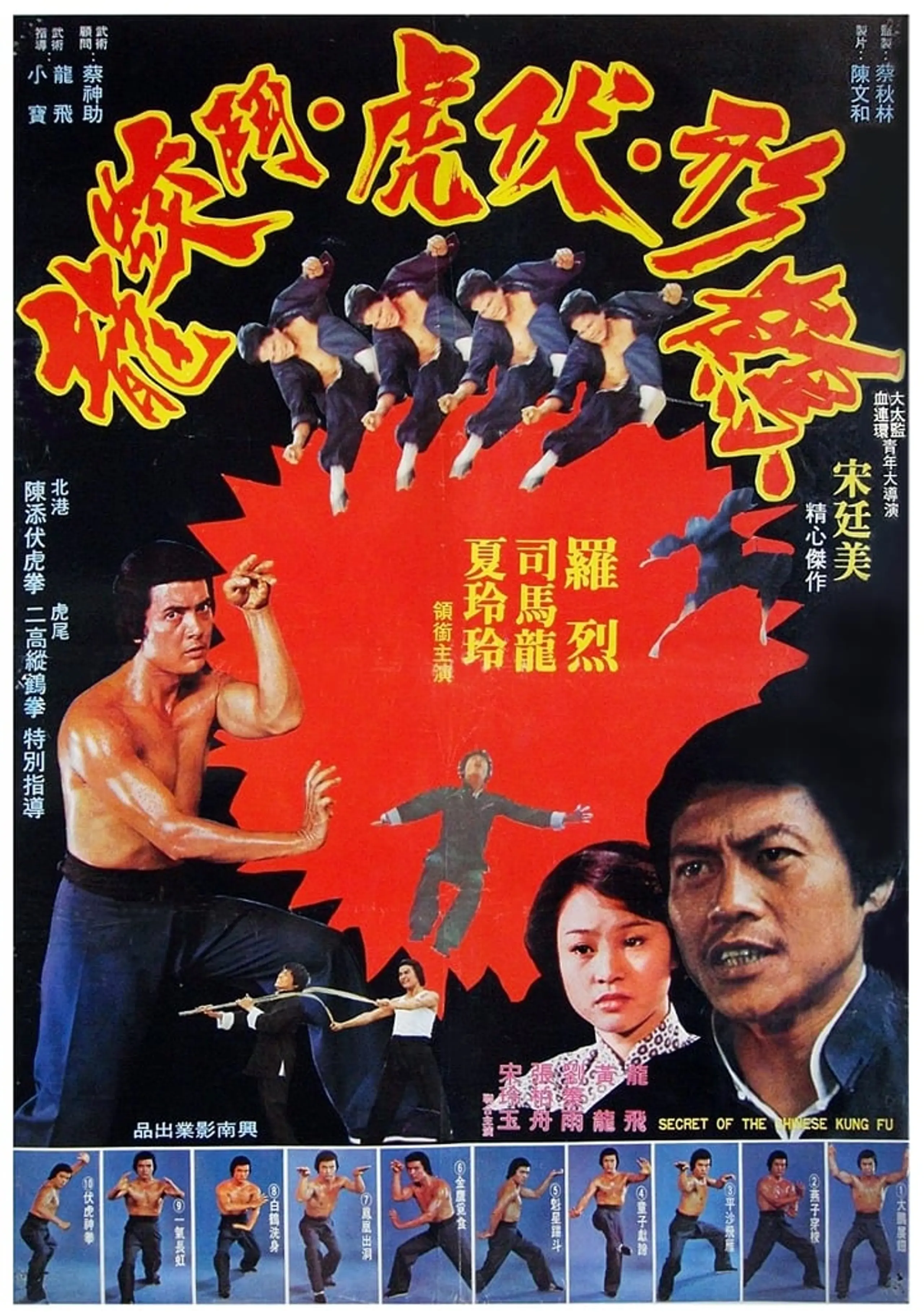 Secret of the Chinese Kung Fu