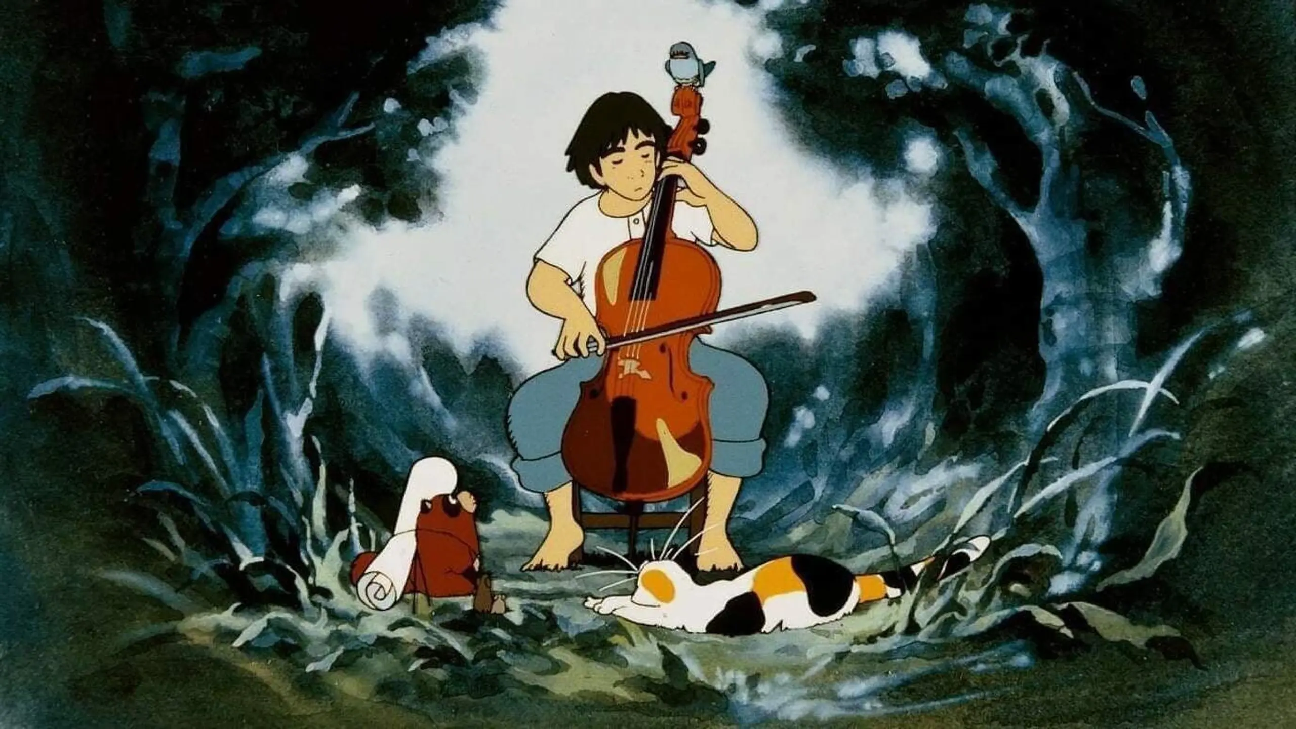 Goshu, der Cellist