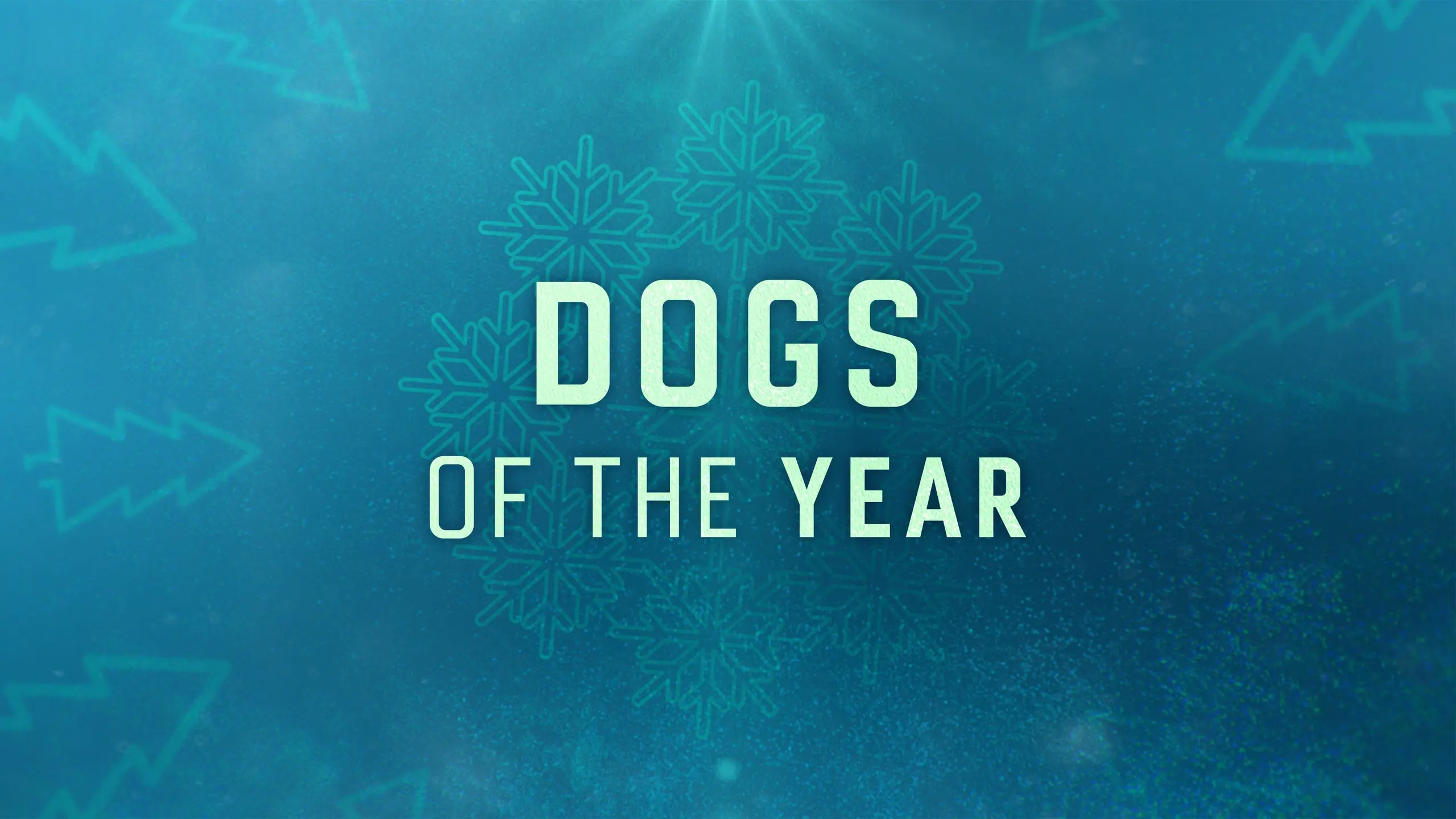 Dogs of the Year