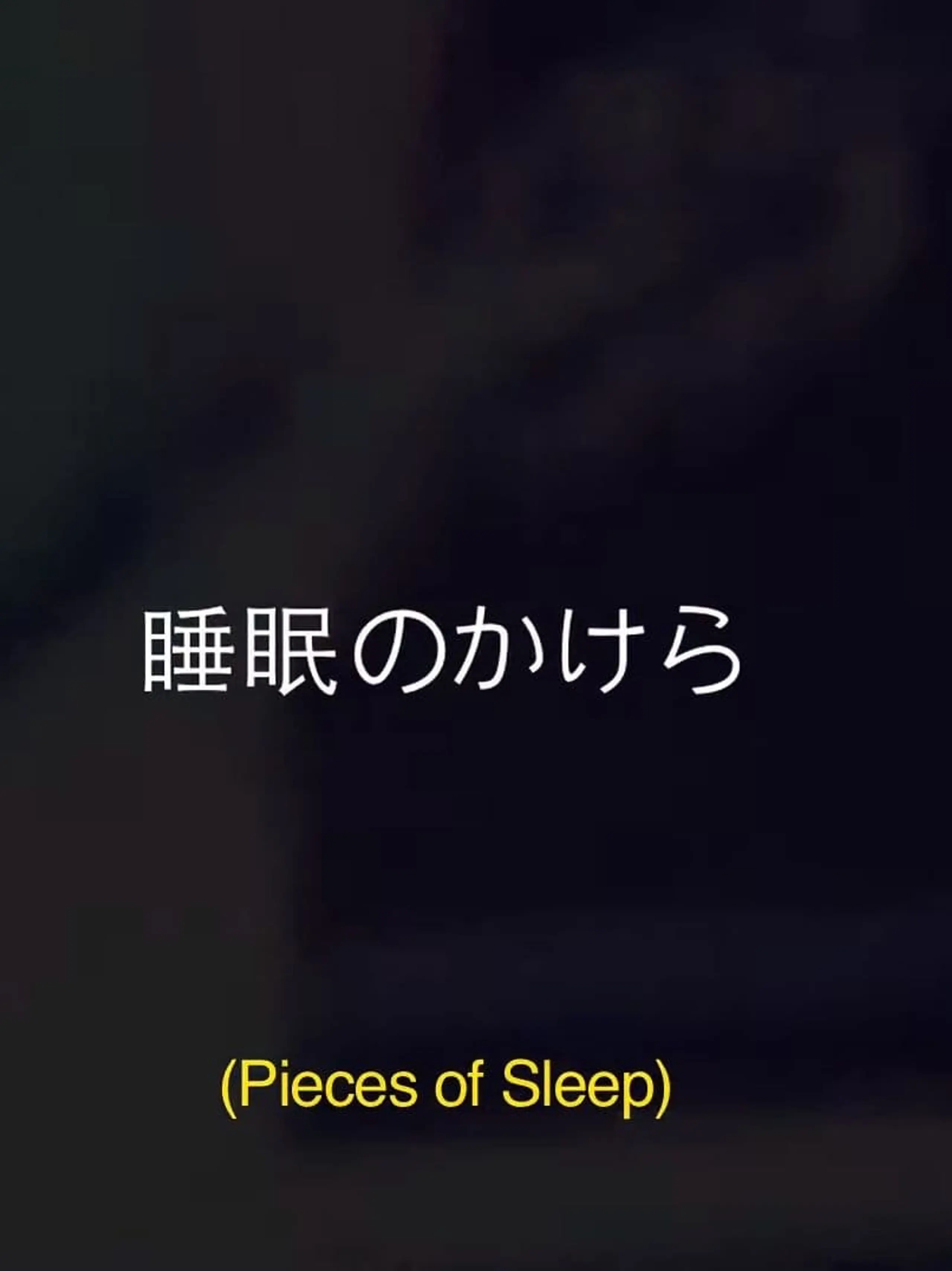 Pieces Of Sleep: The 1993 Japan Tour Re-Imagined