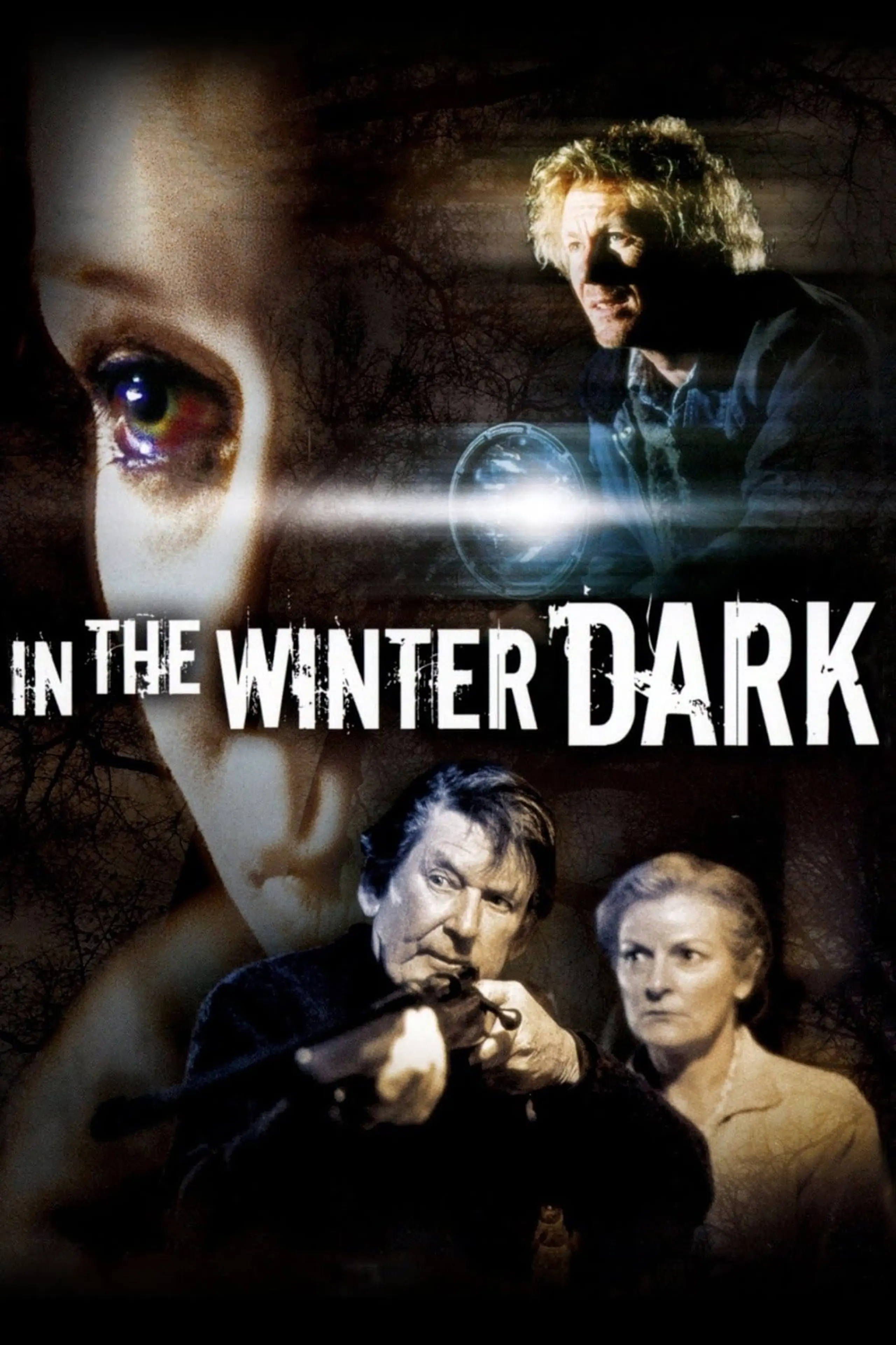 In The Winter Dark