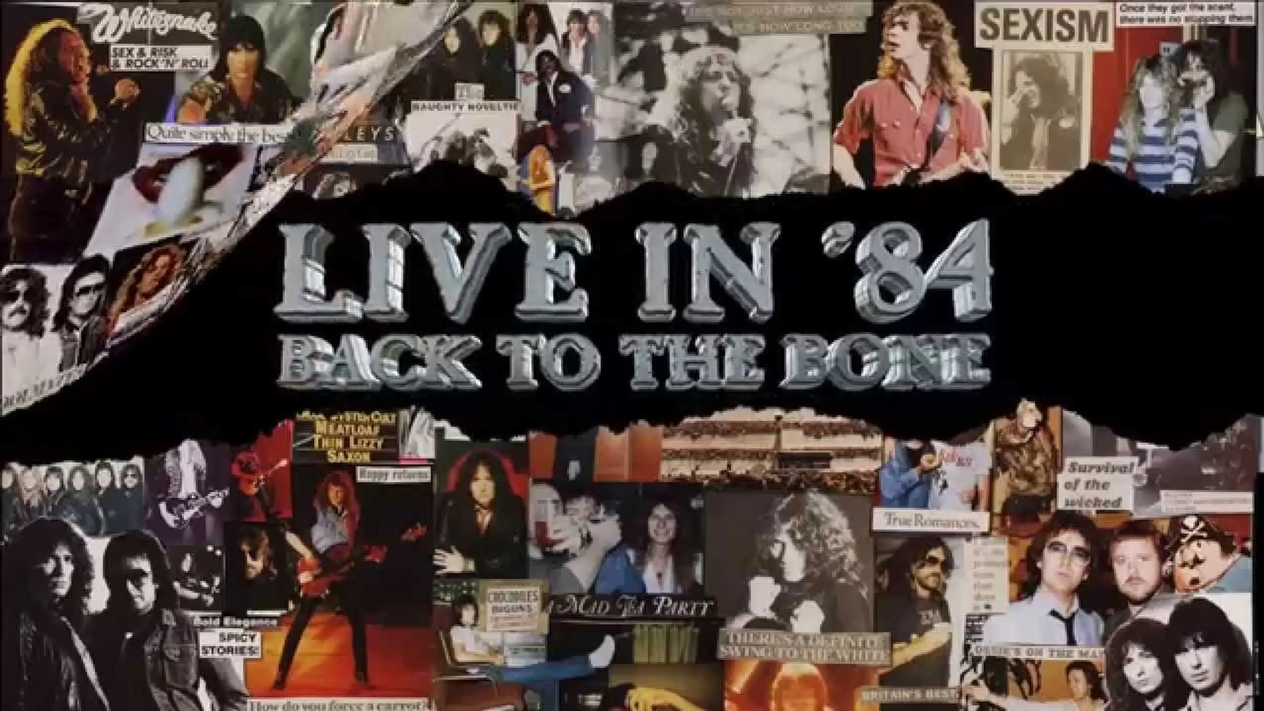 Whitesnake: Live in '84 - Back to the Bone