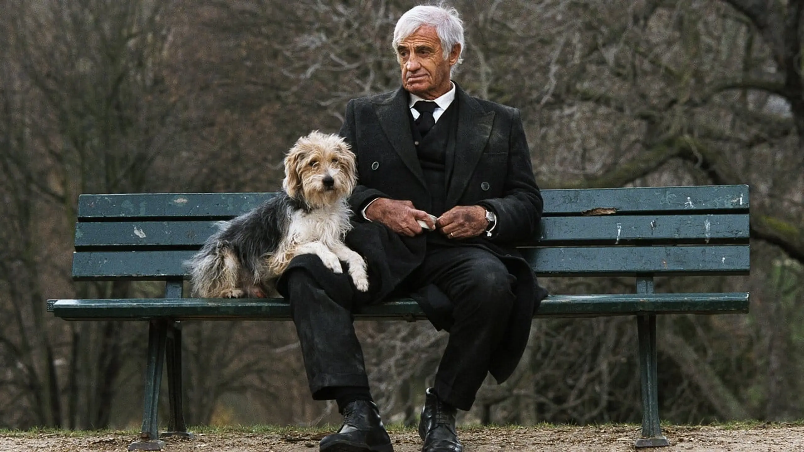Ein Mann und sein Hund