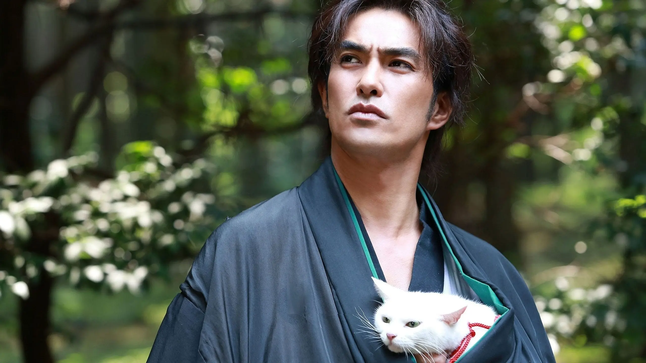 Samurai Cat: The Movie