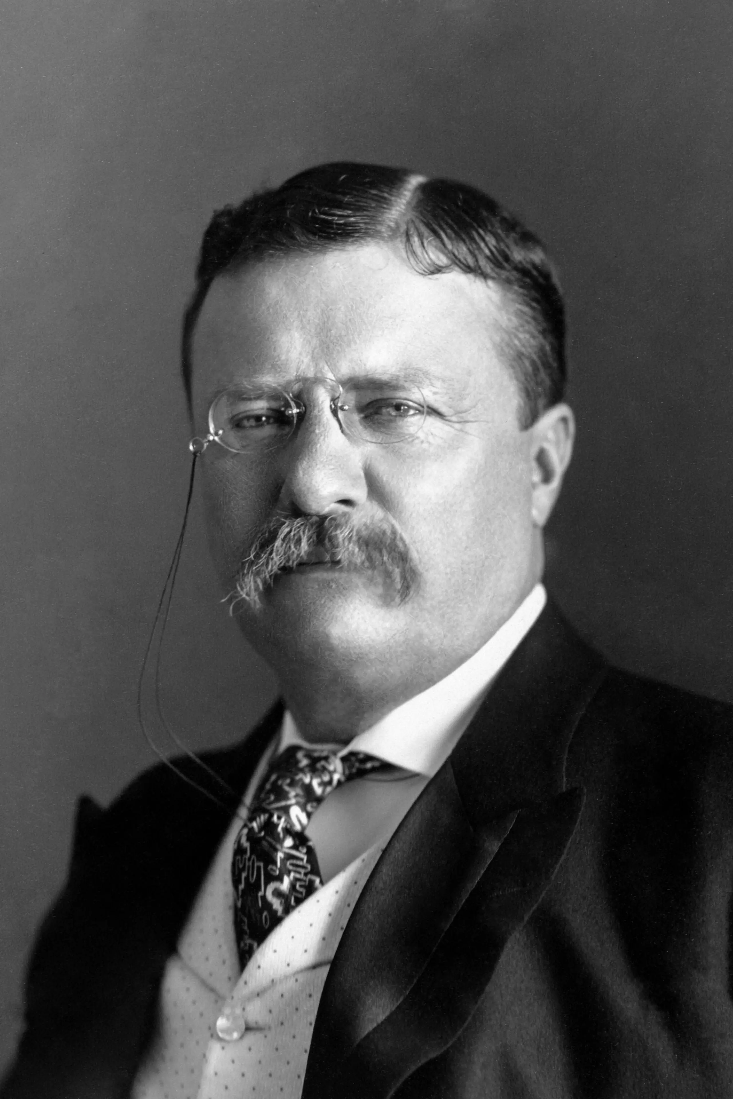 Foto von Theodore Roosevelt