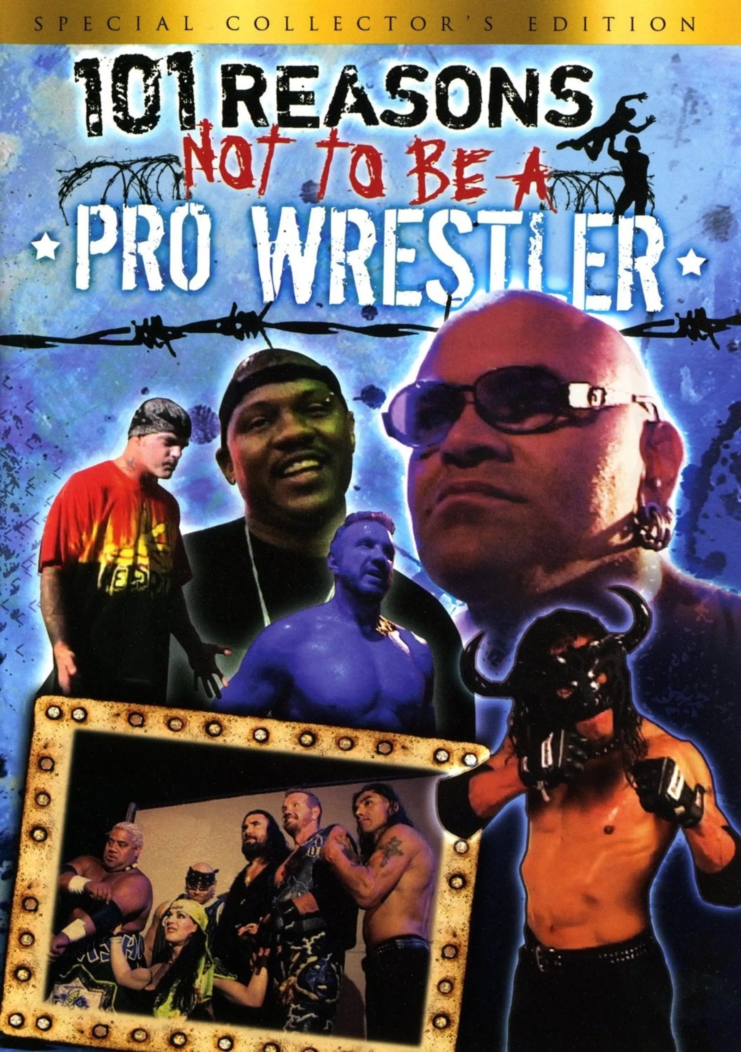 101 Reasons Not To Be A Pro Wrestler