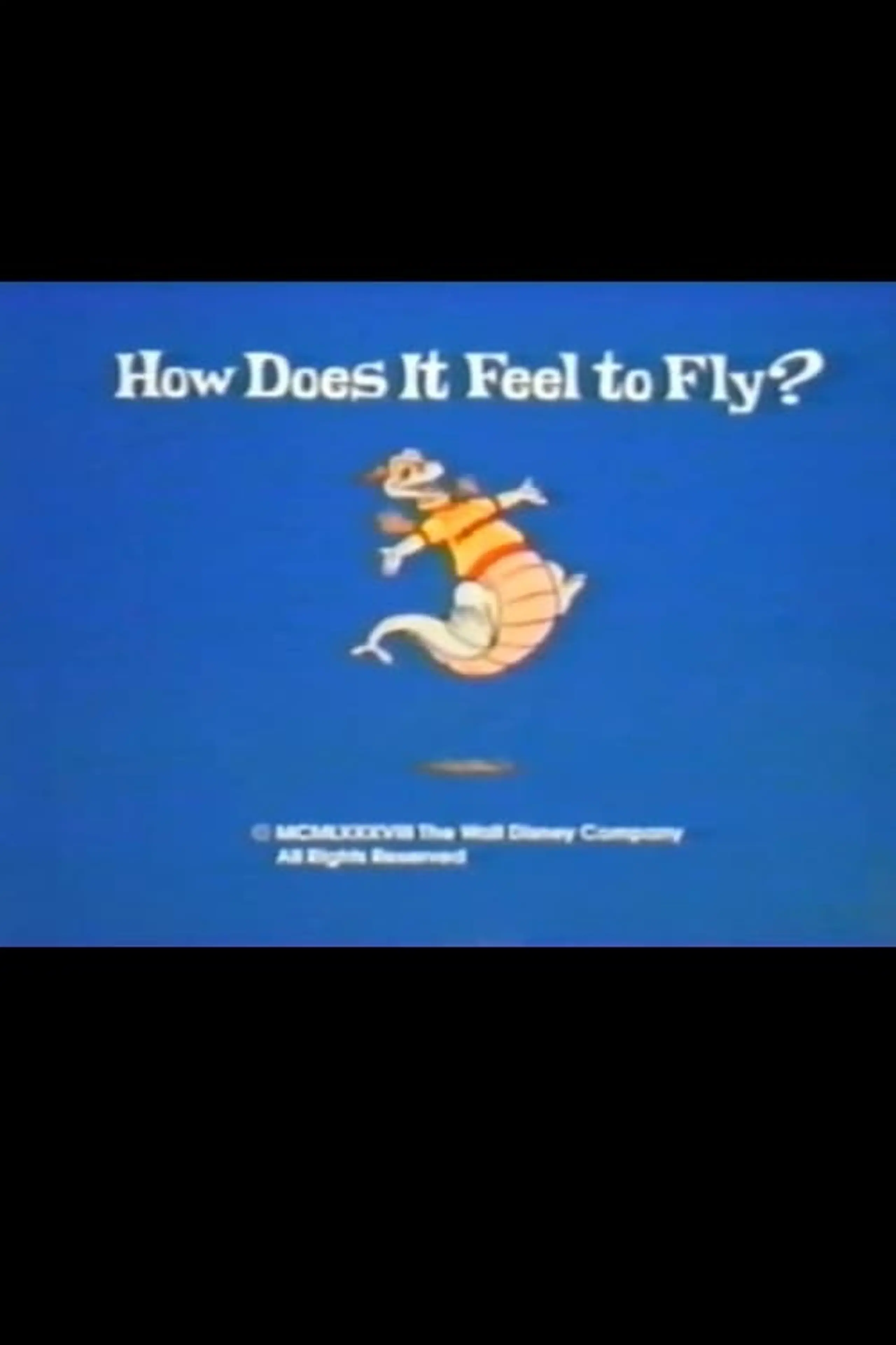 How Does It Feel to Fly?