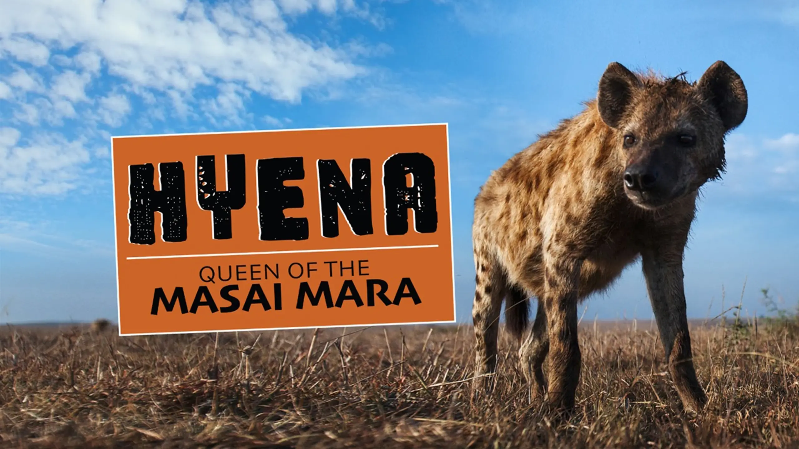 Hyena: Queen of the Masai Mara