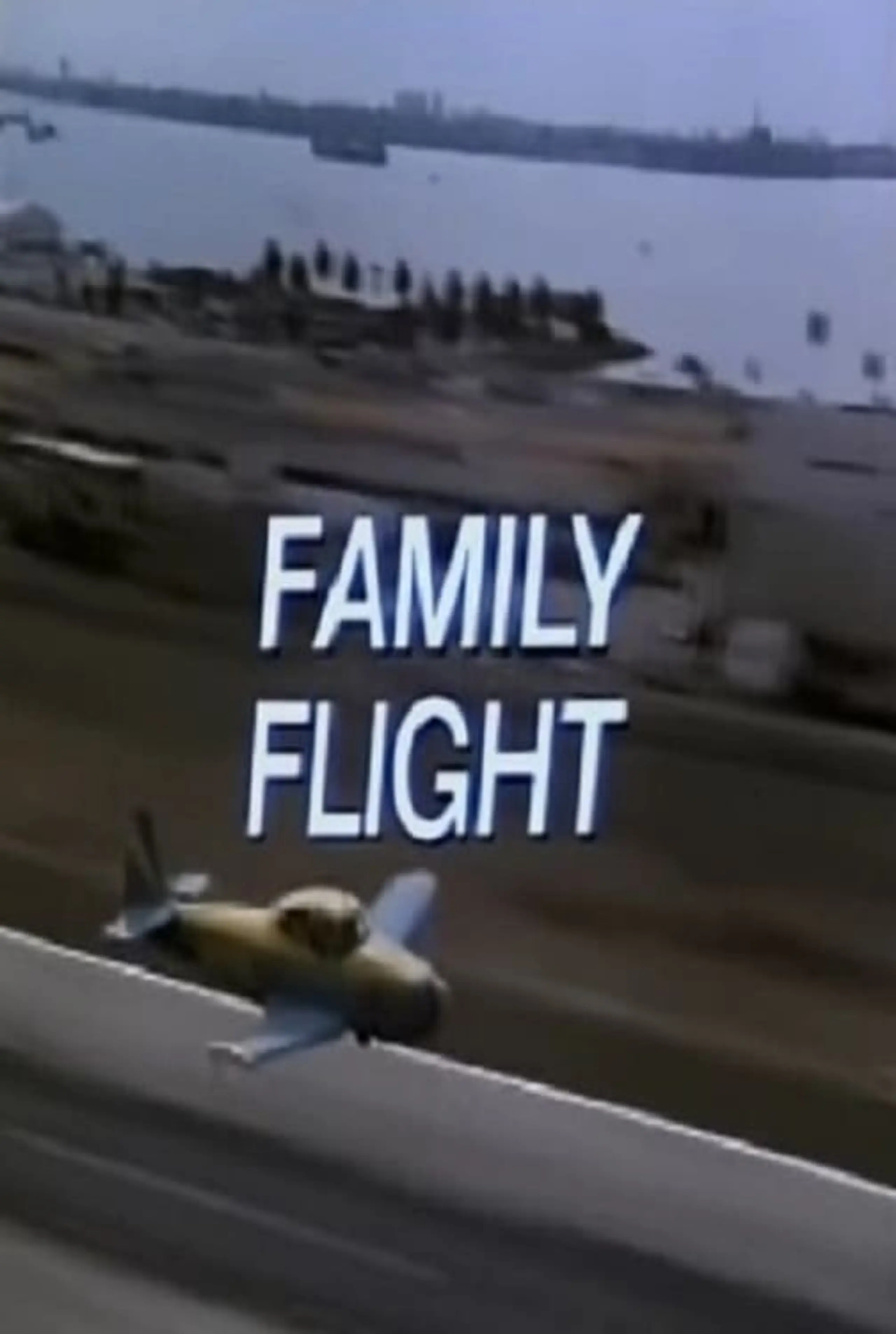 Family Flight