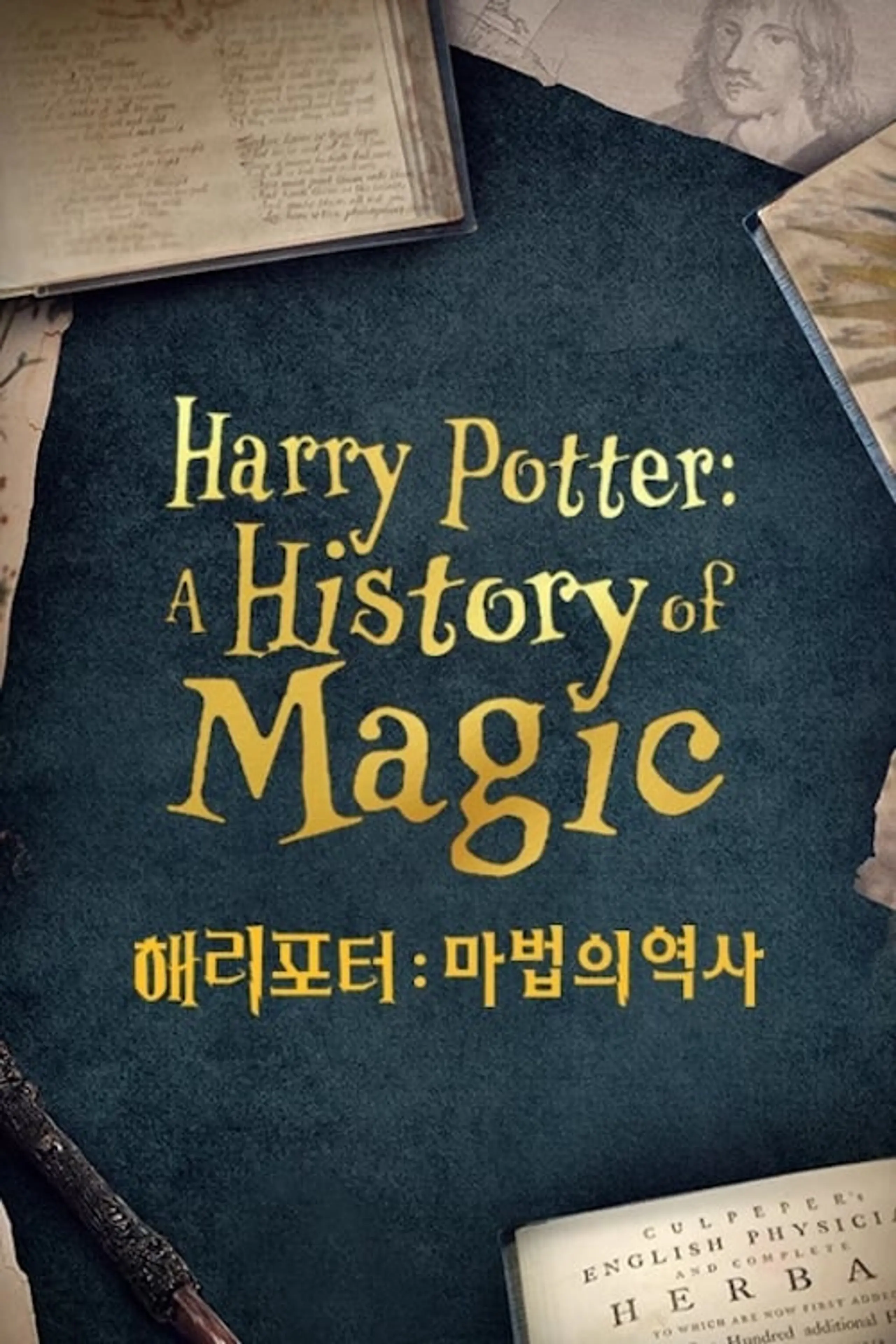 해리 포터: 마법의 역사