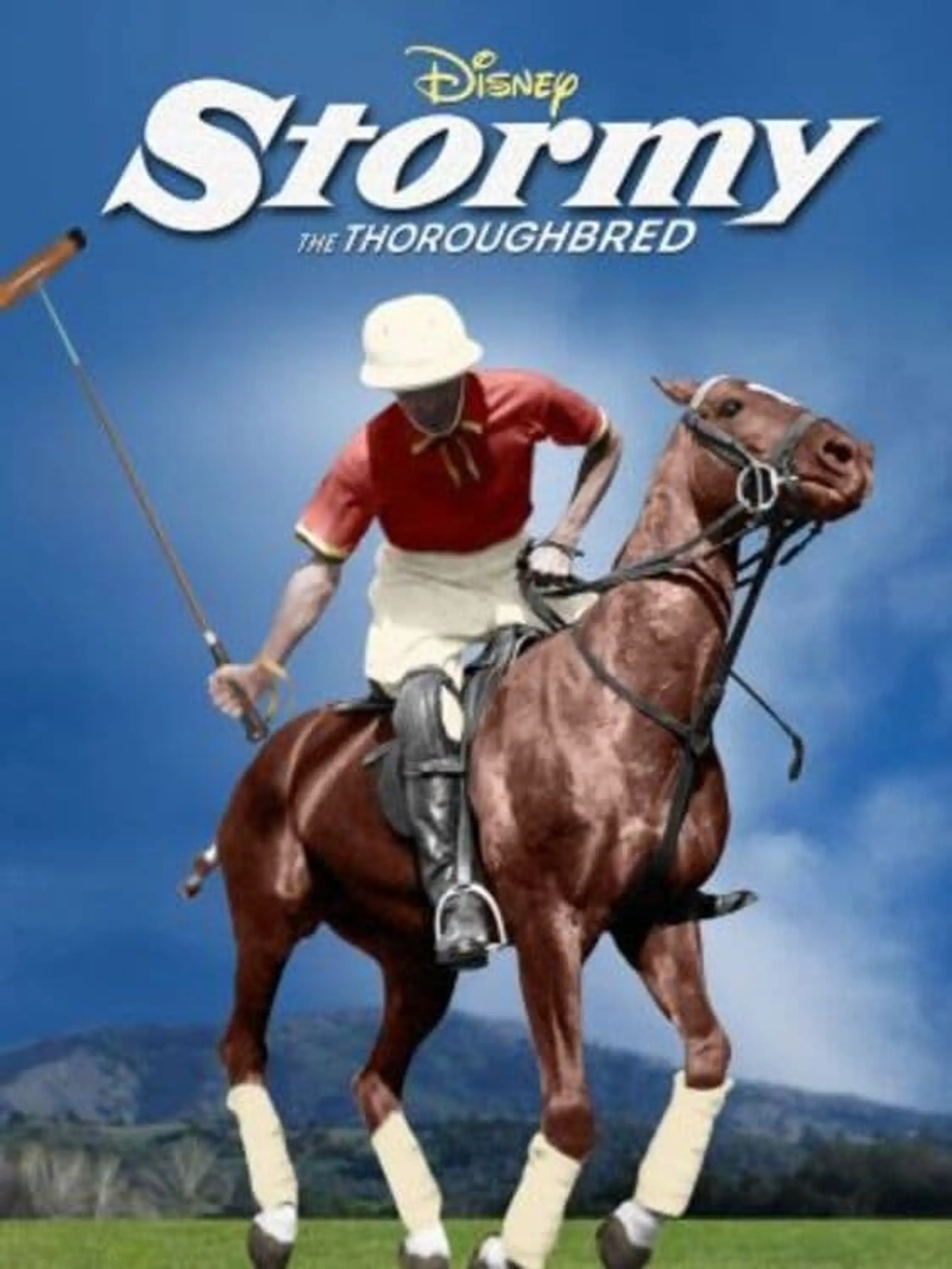 Stormy, the Thoroughbred