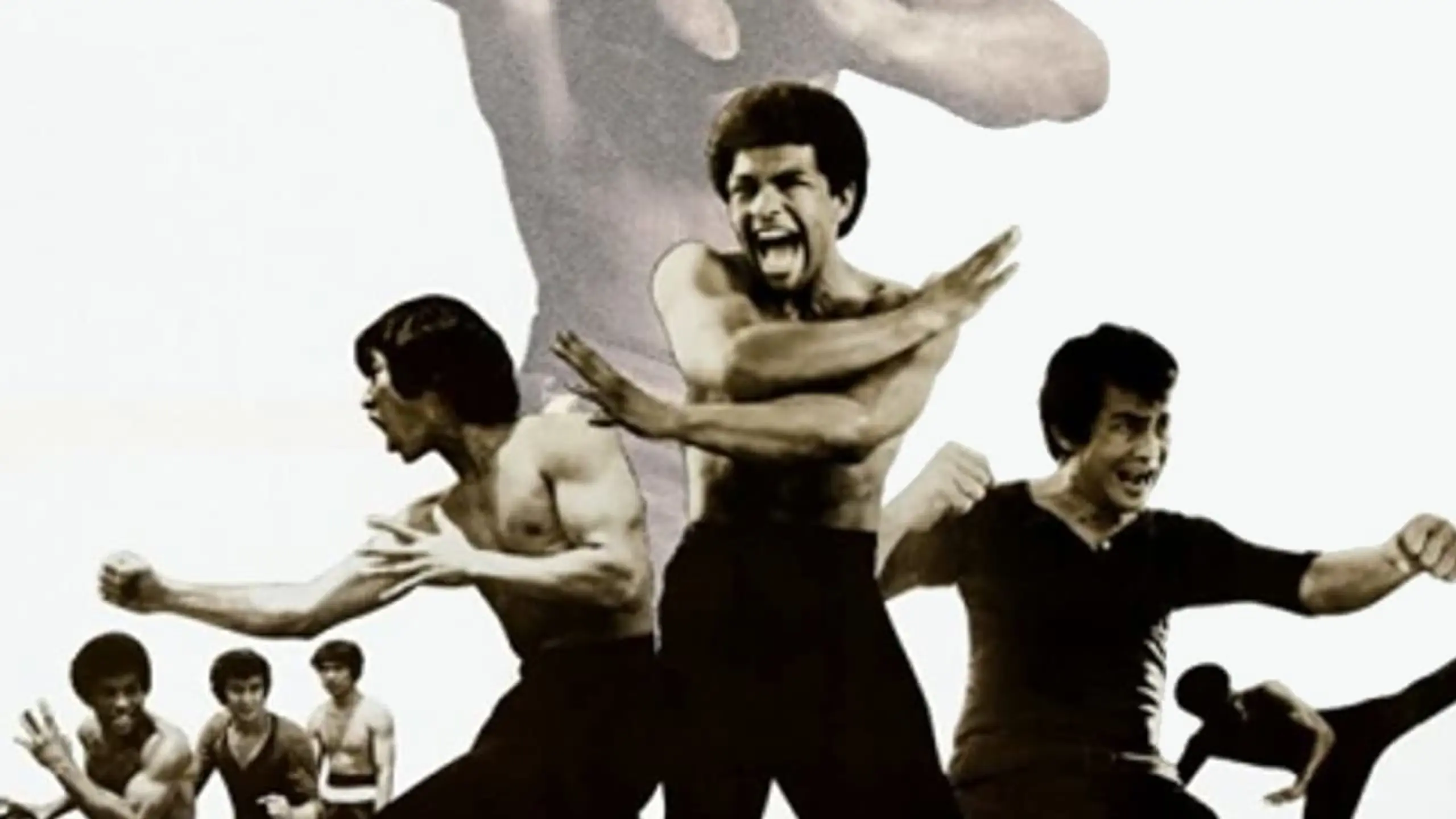 Bruce Lee - Sein tödliches Erbe