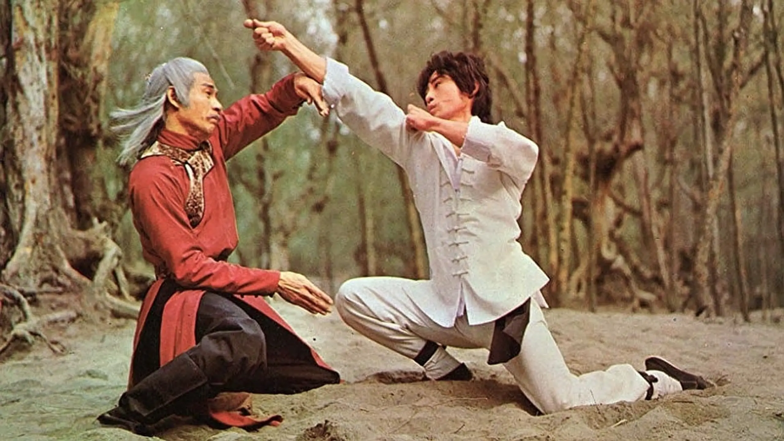Shaolin-Kung Fu - Vollstrecker der Gerechtigkeit