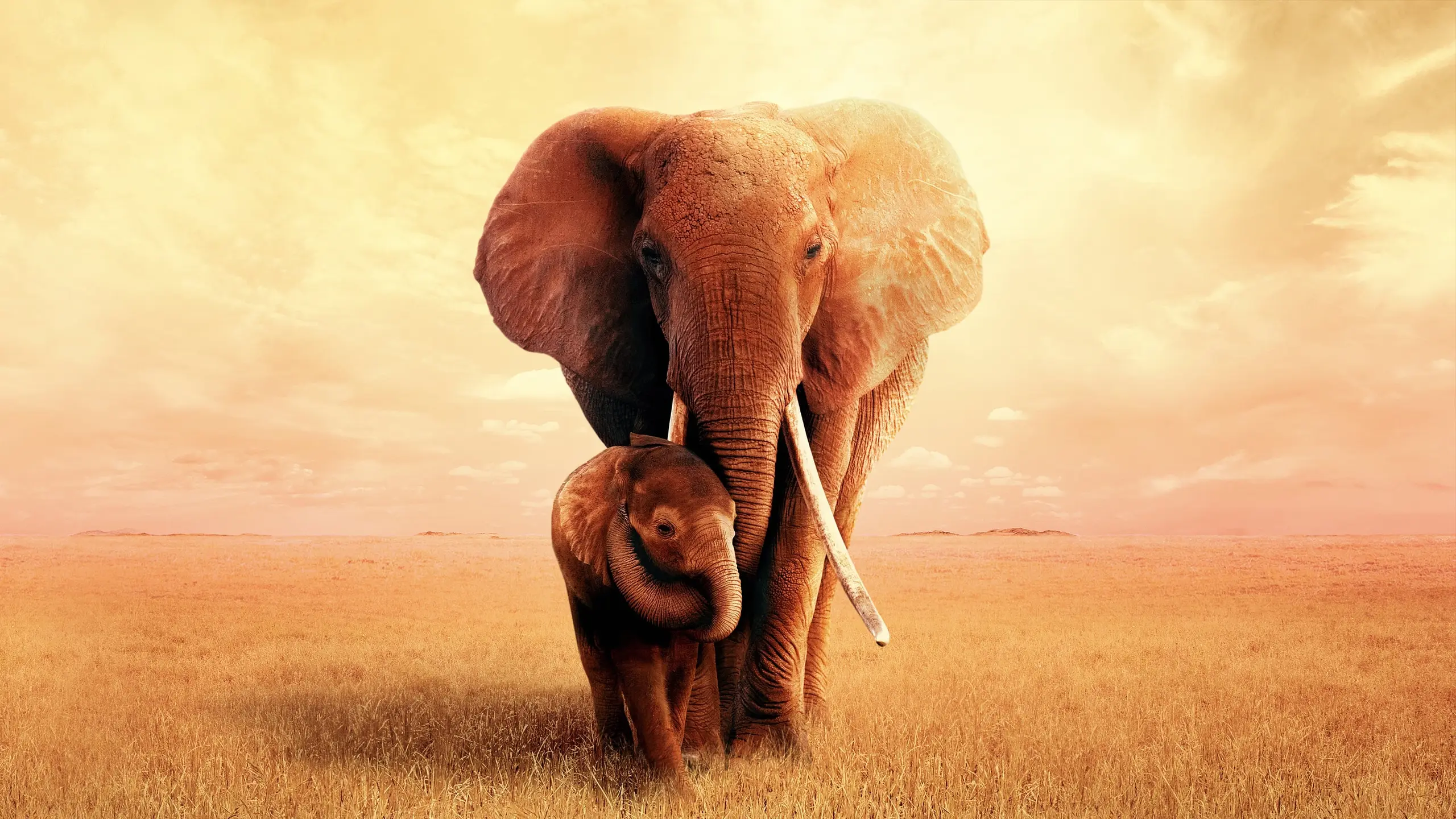 Die Elefantenmutter