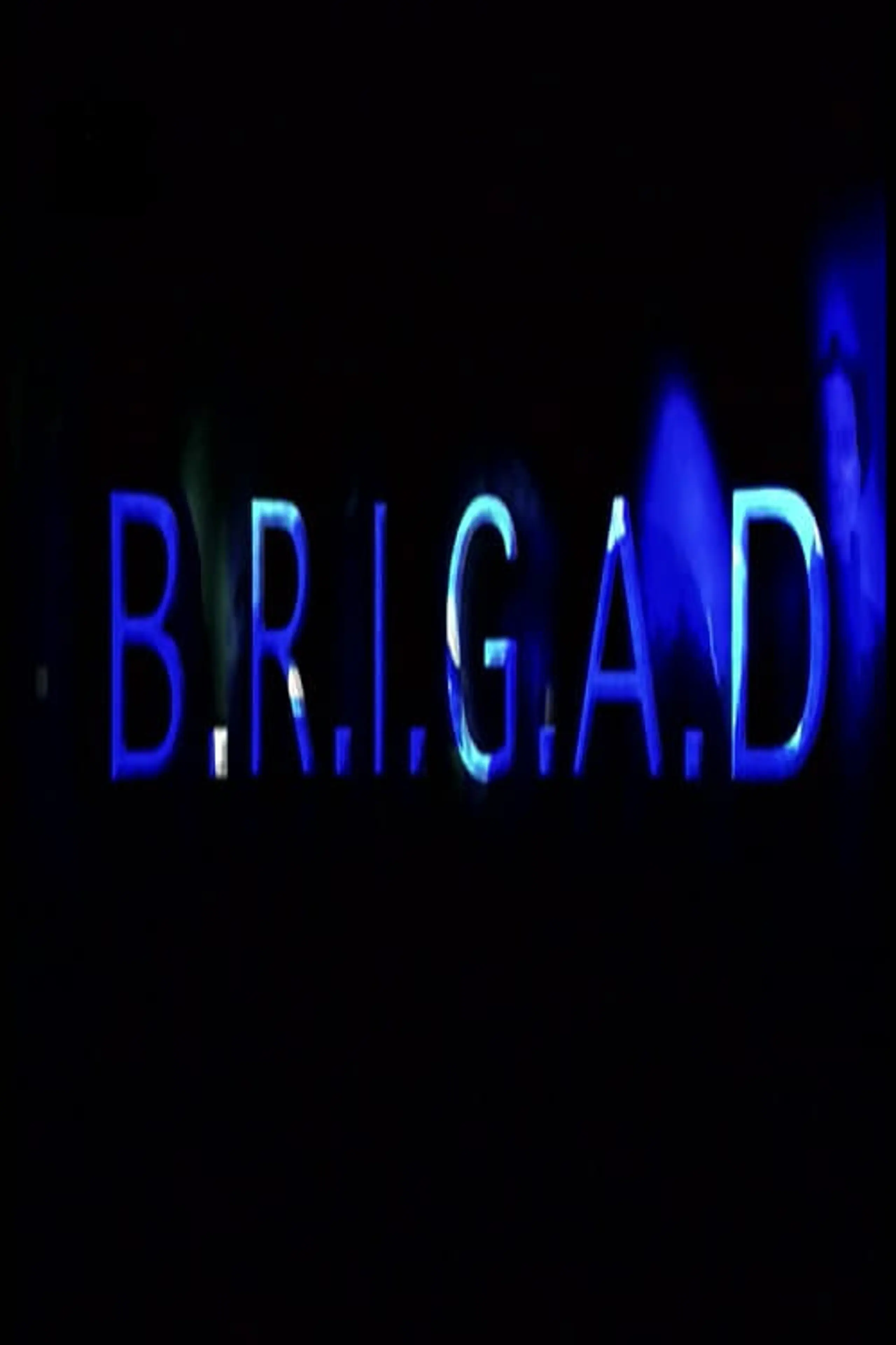 B.R.I.G.A.D.