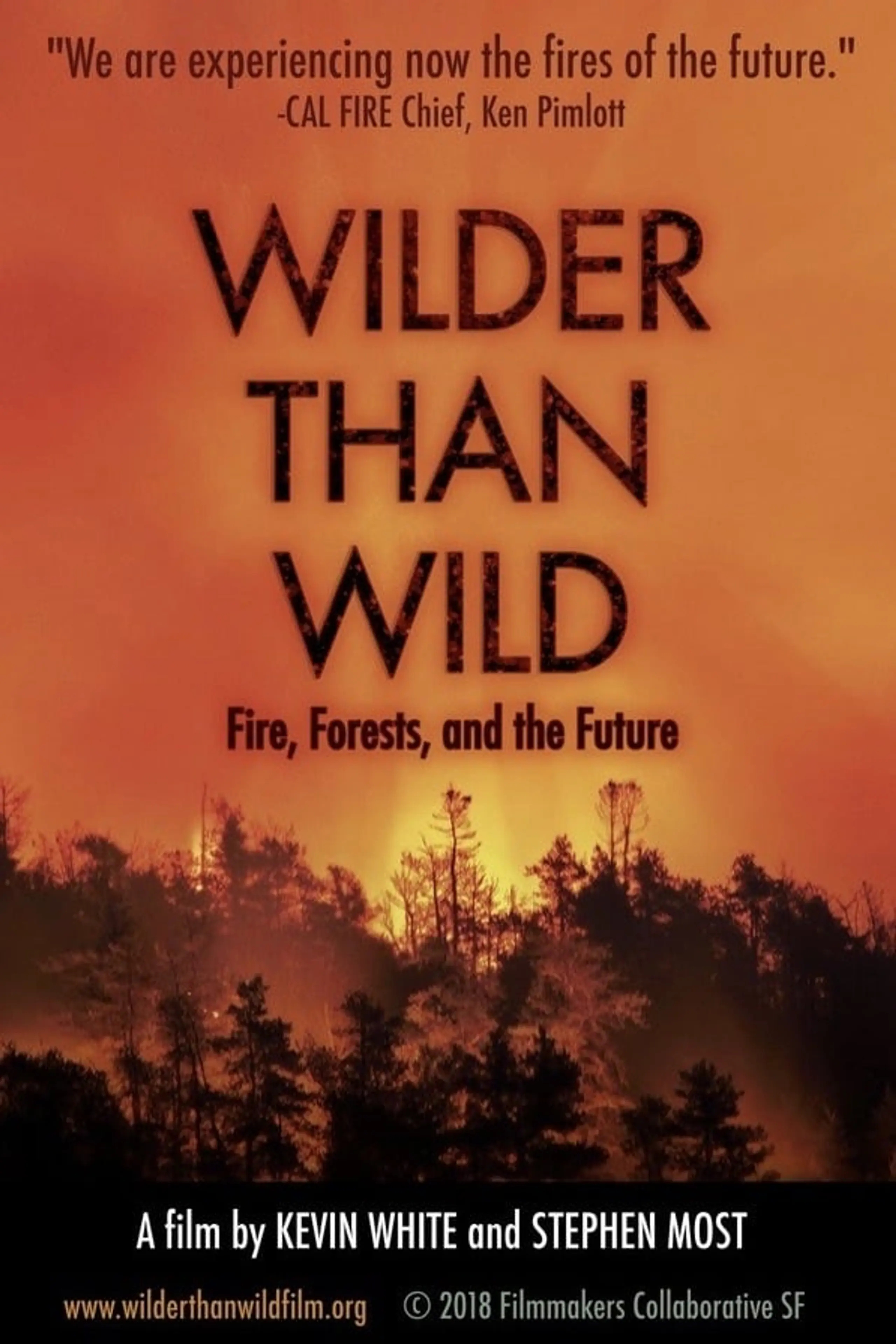 Wilder than Wild: Fire, Forests, and the Future