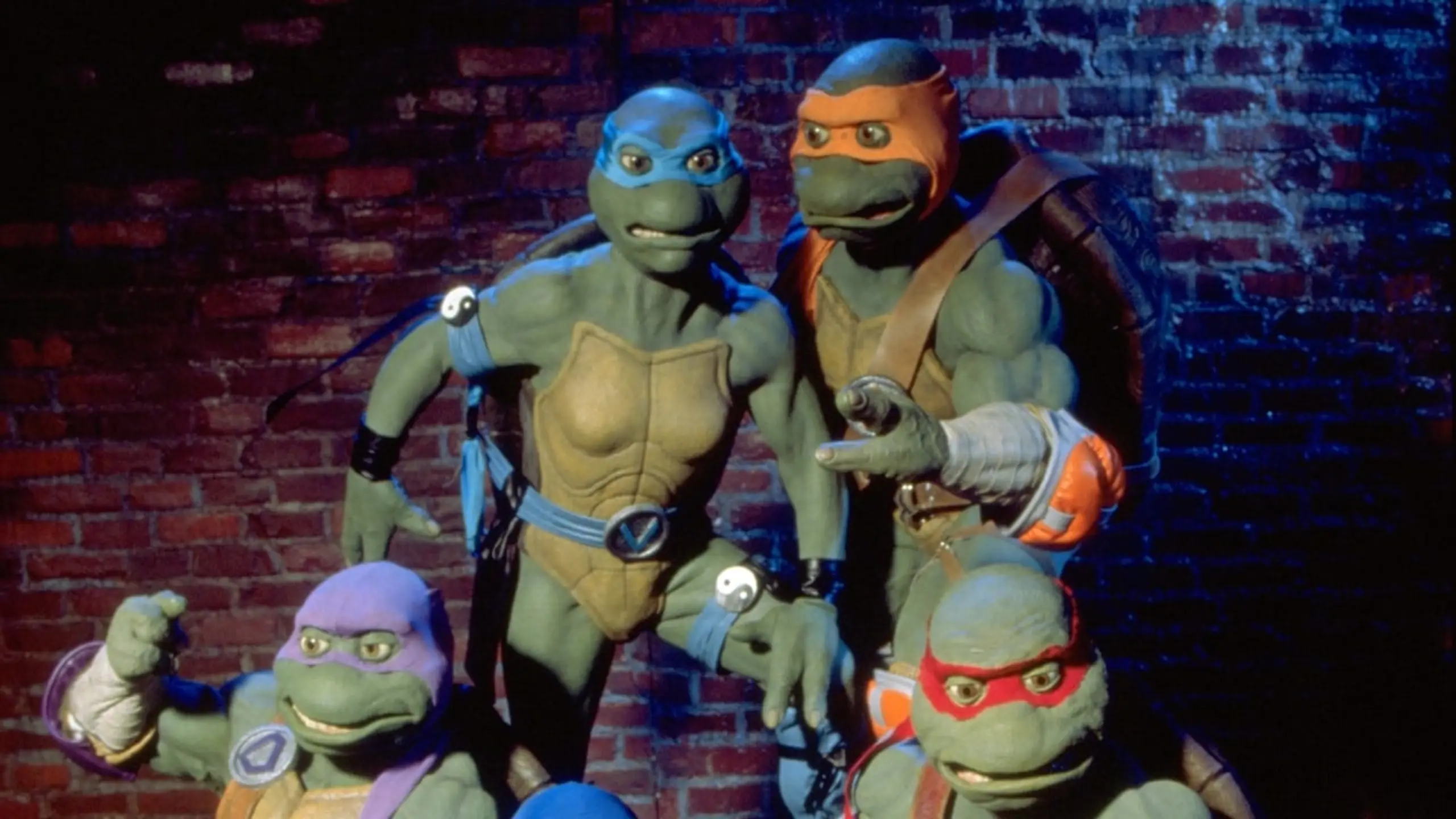 Die Ninja-Turtles
