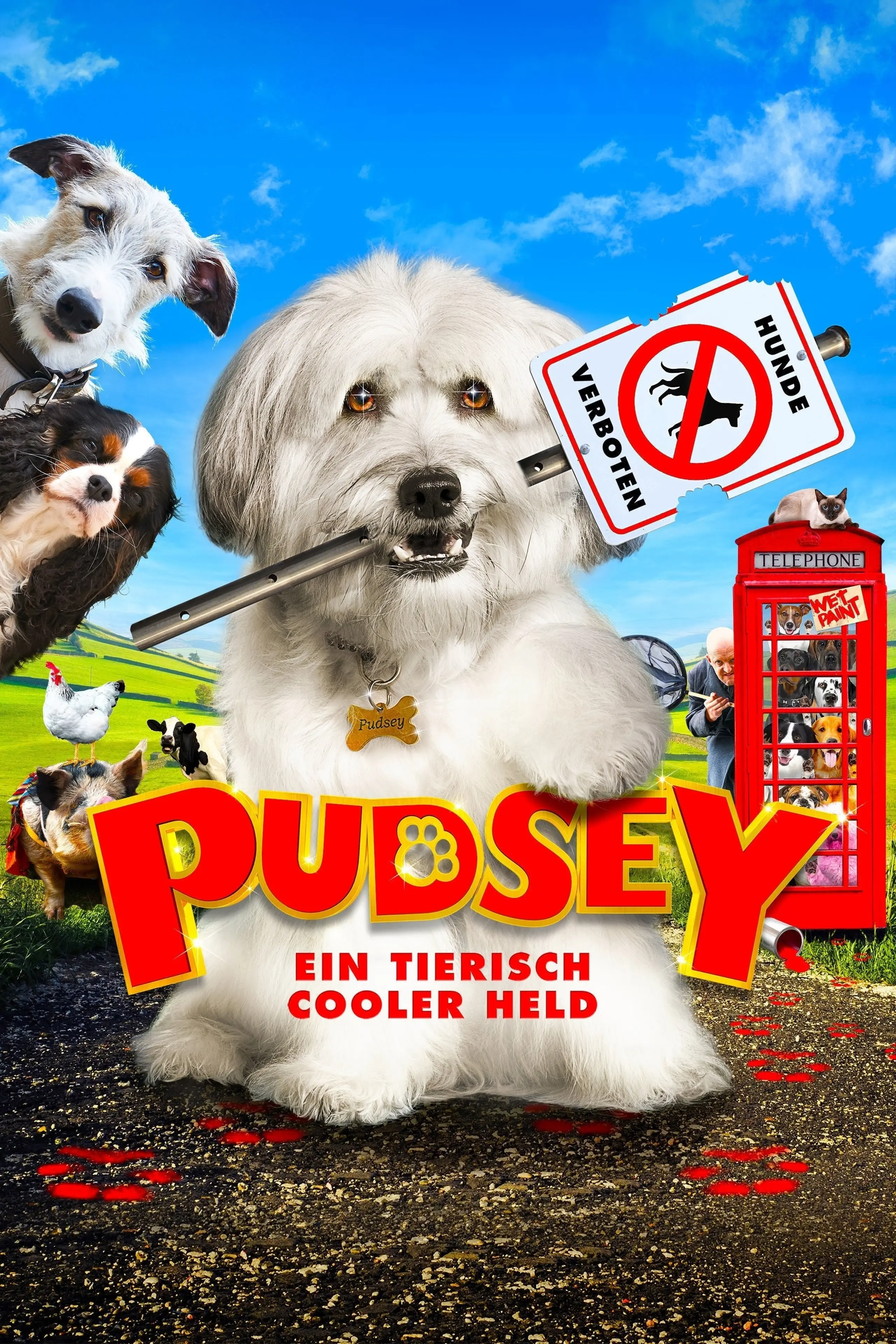 Pudsey - Ein tierisch cooler Held