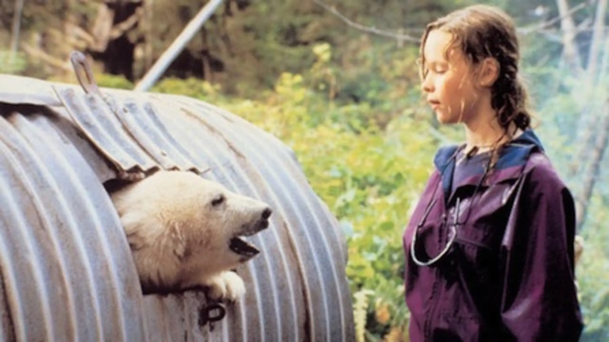 Alaska - Die Spur des Polarbären