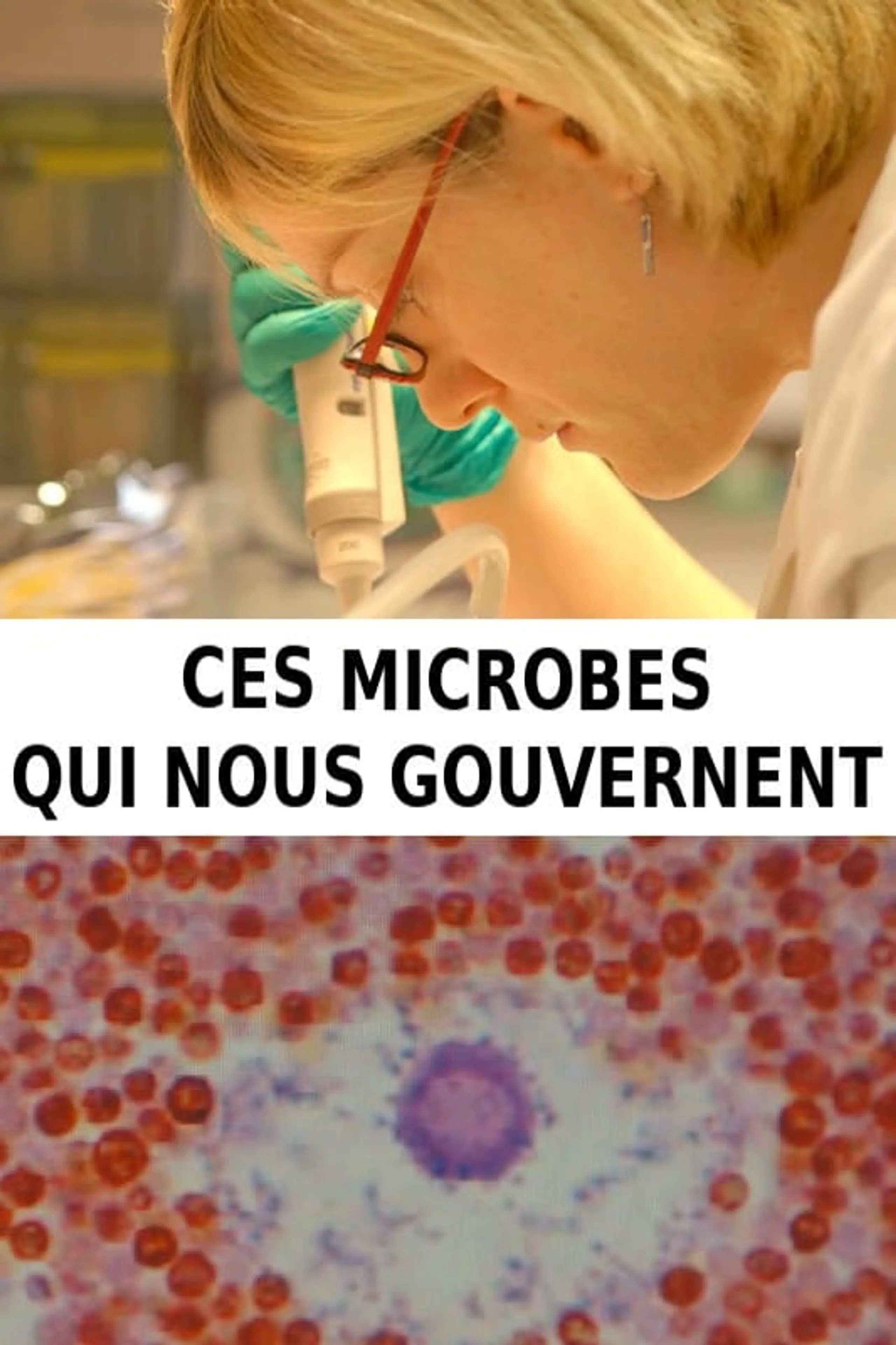 Die unsichtbare Macht der Mikroben