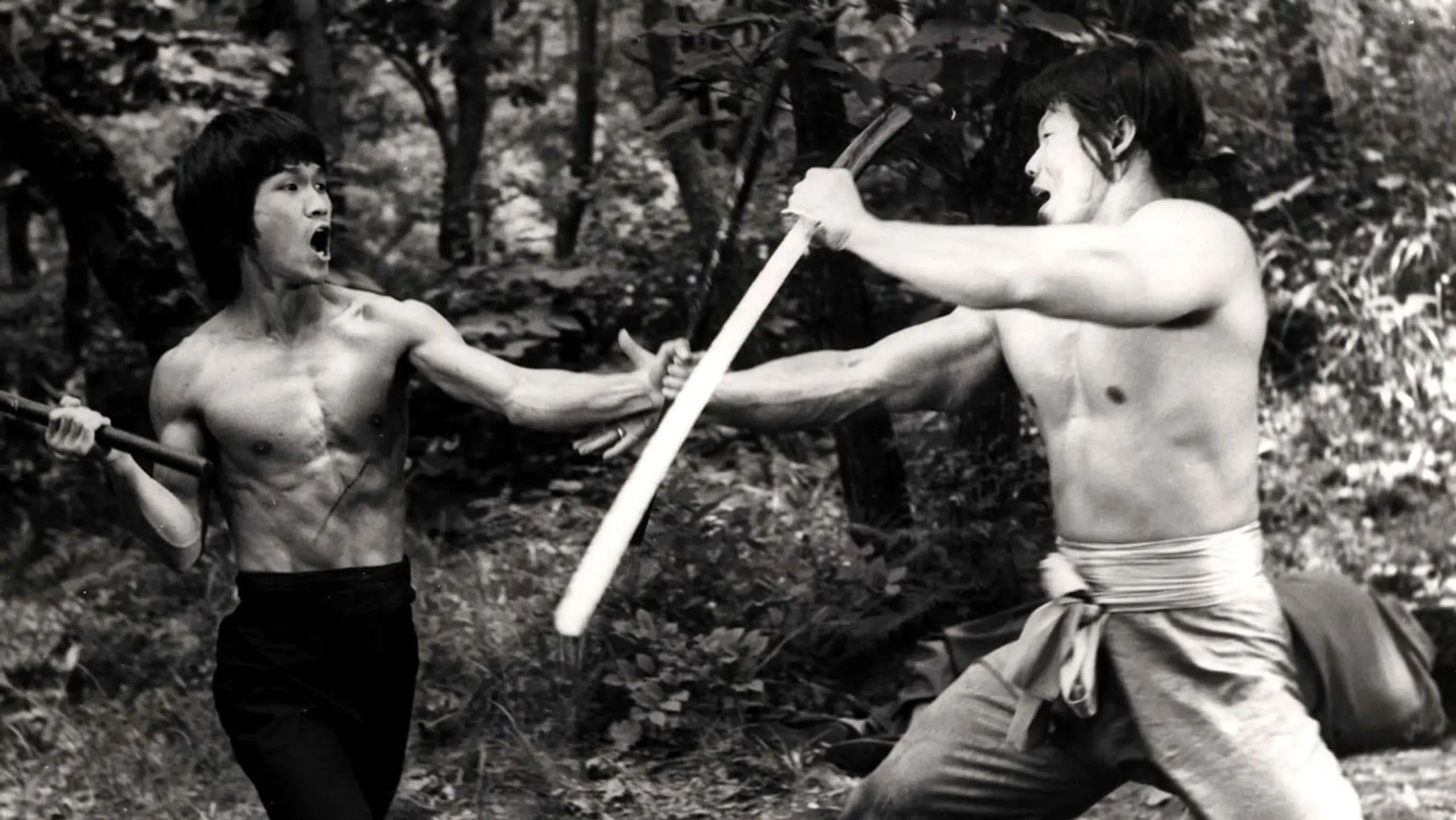 Bruce Lee – Seine besten Kämpfe
