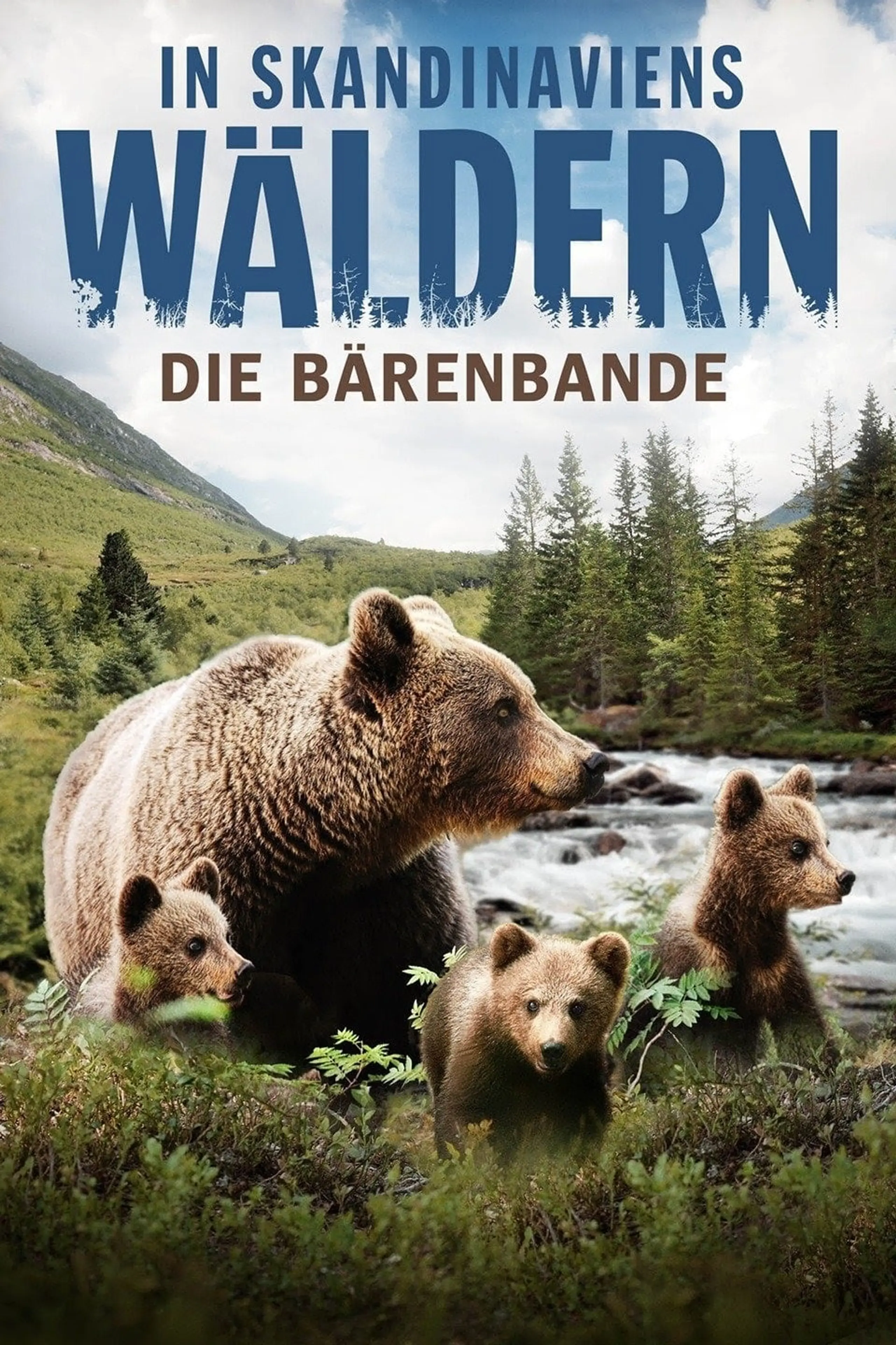 In Skandinaviens Wäldern - Die Bärenbande