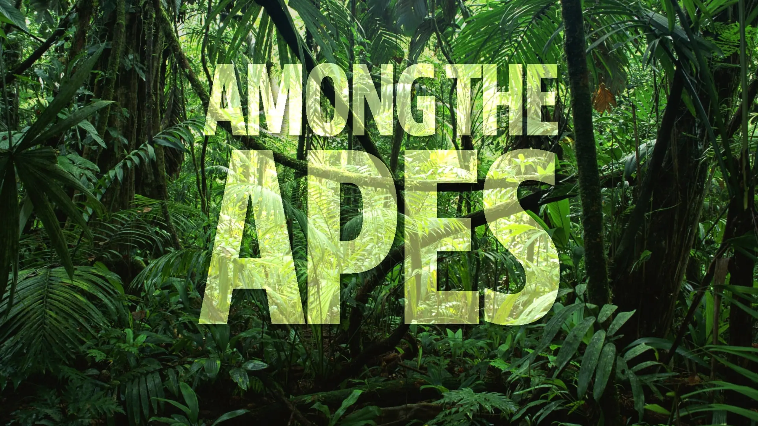 Among the Apes
