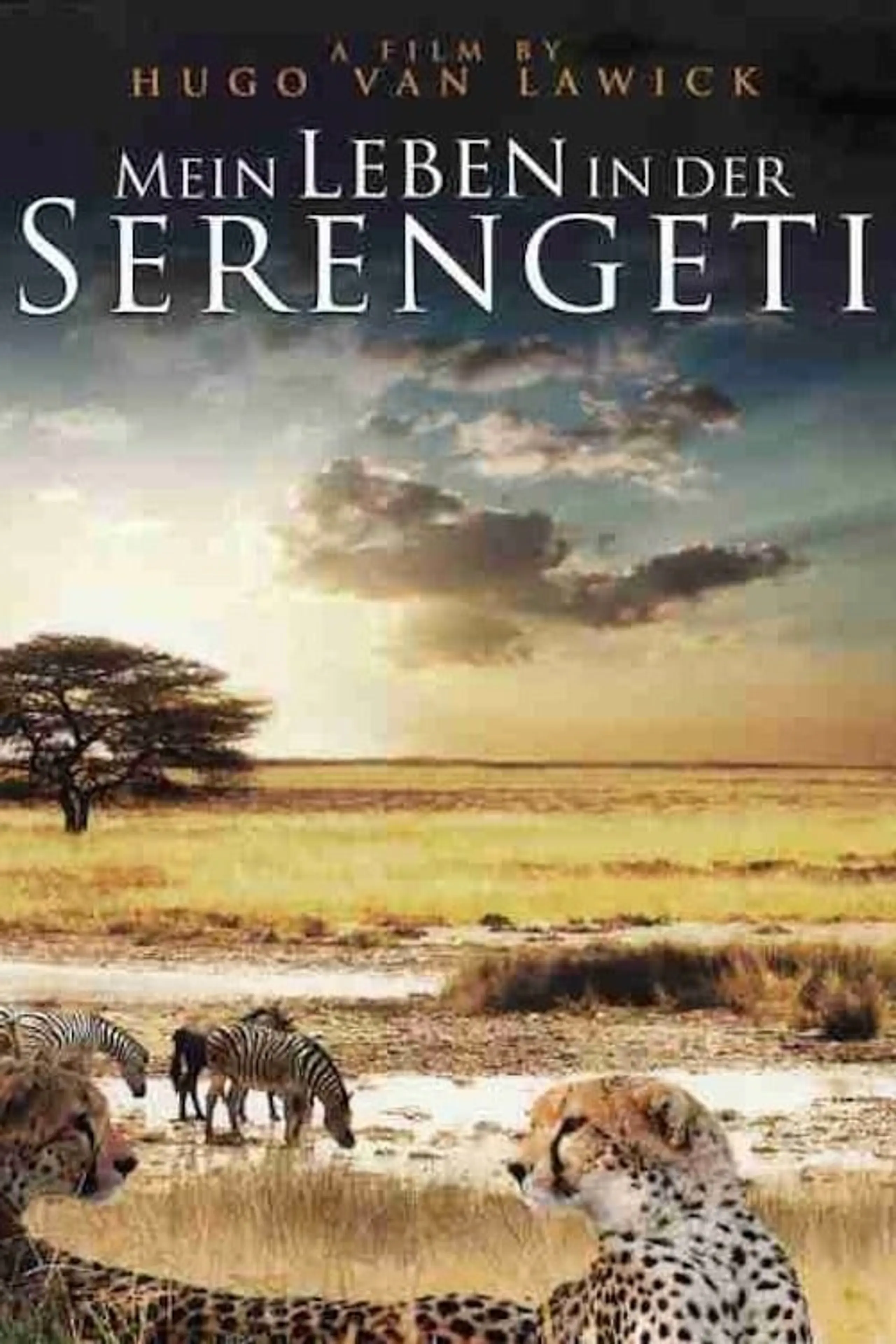Mein Leben in der Serengeti