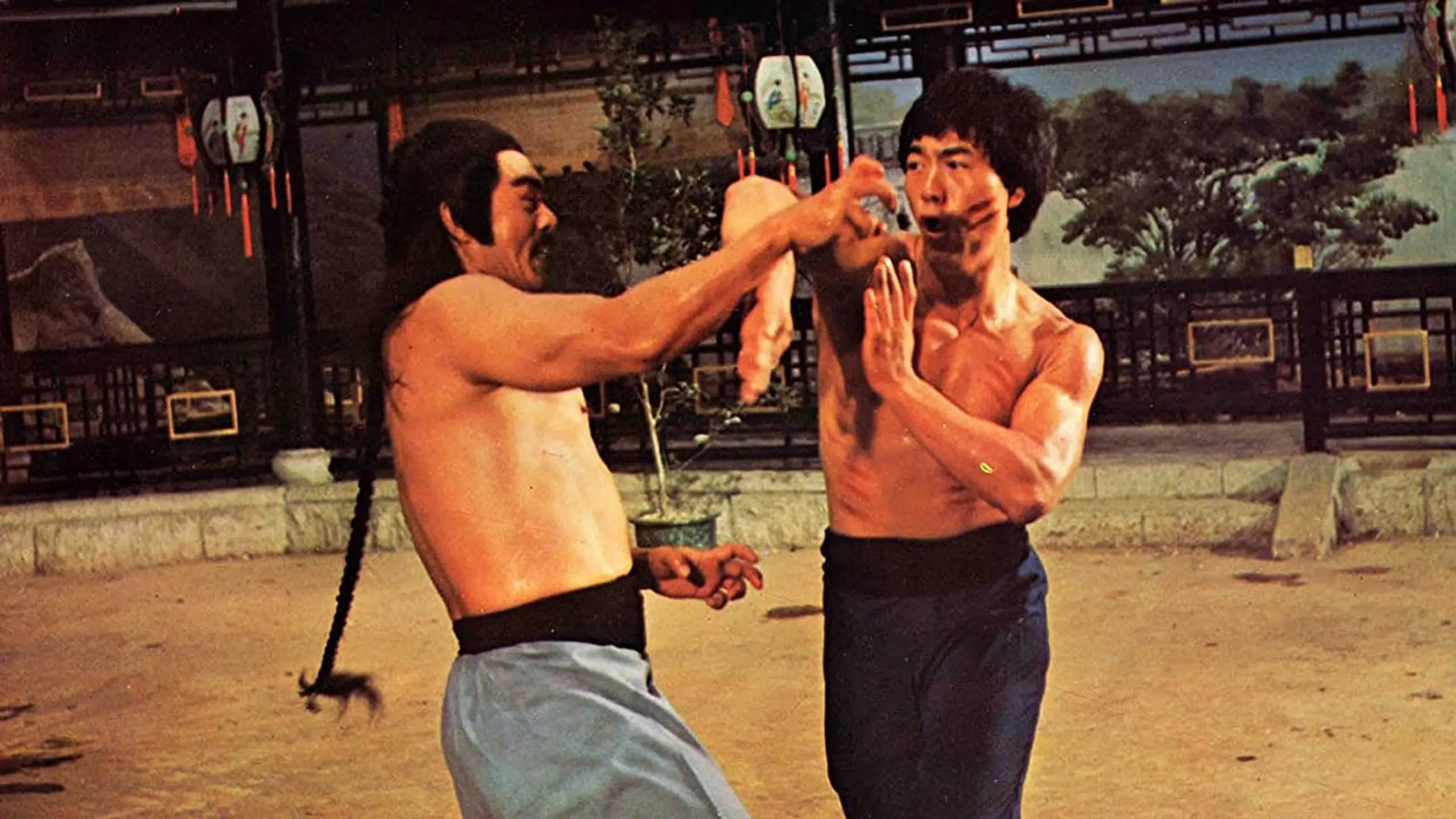 Bruce Lee - Tag der blutigen Rache