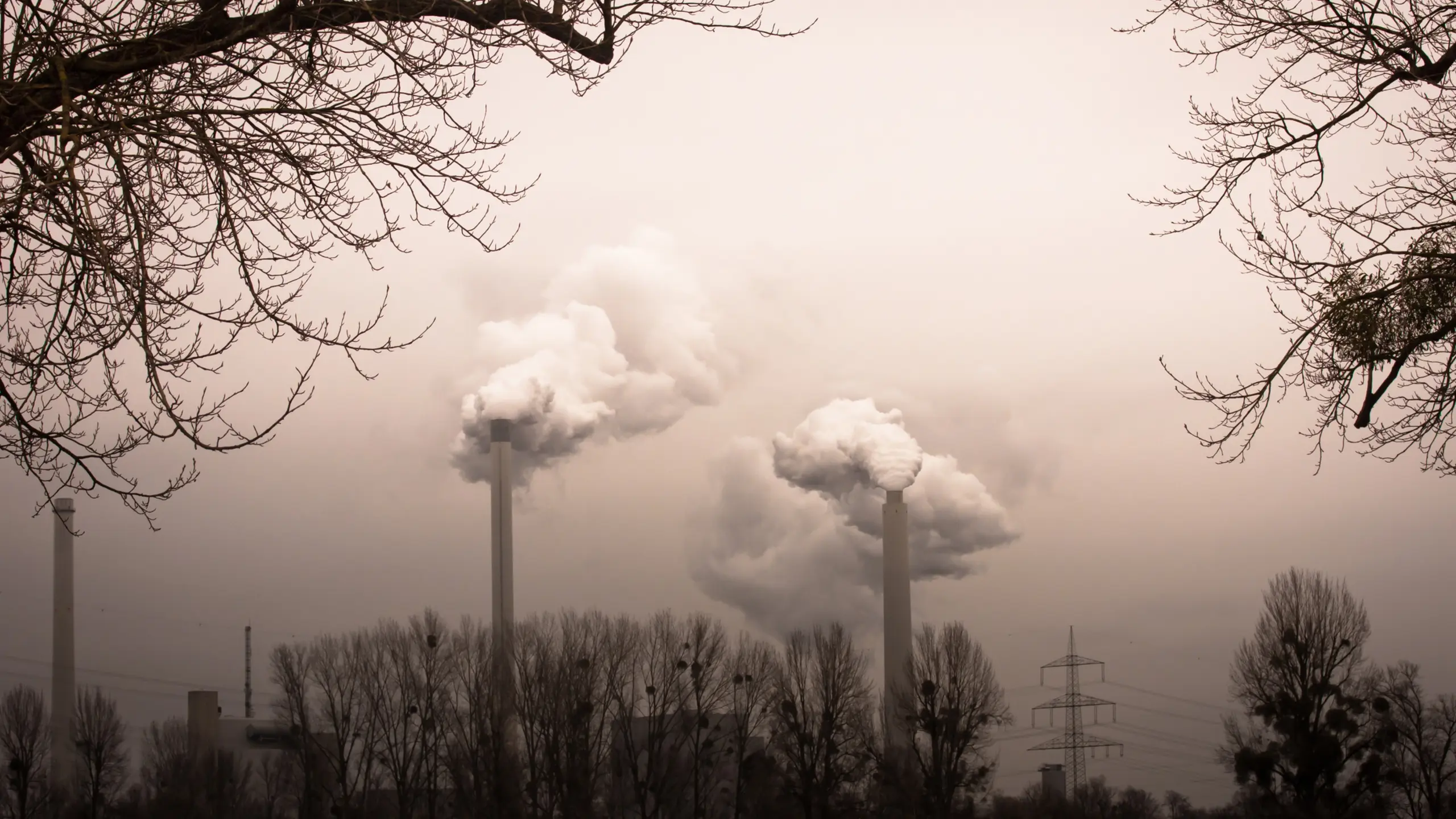 EU verschärft Klima-Fahrplan: 90 % weniger CO2 bis 2040