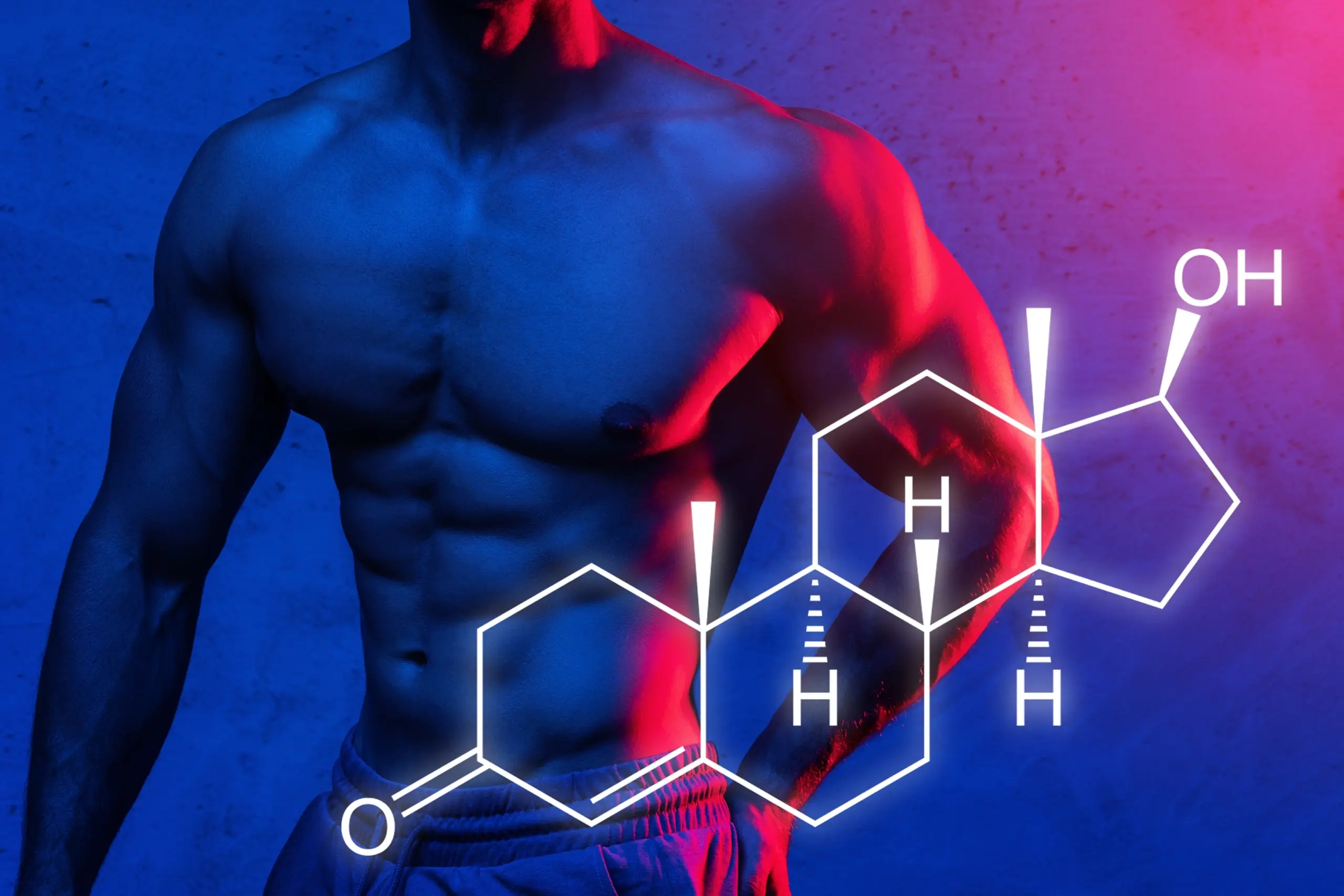 Das Hormon der Macht: Wie sich Testosteron auf Karriere, Sex und Gesundheit auswirkt