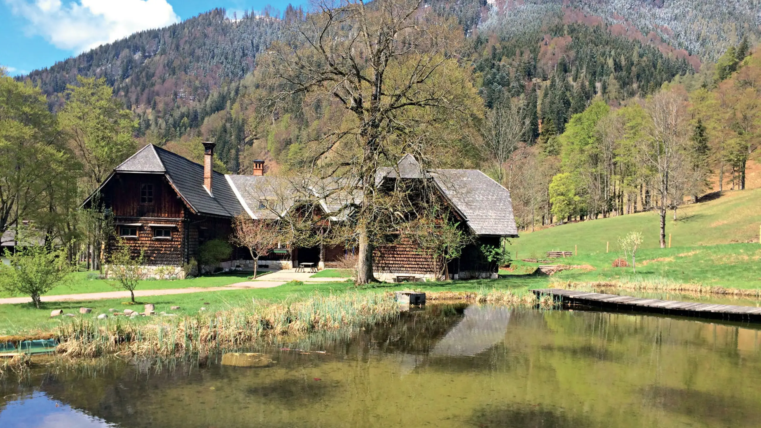 Prinzhorn kauft Rothschild-Jagd und Ländereien in Niederösterreich