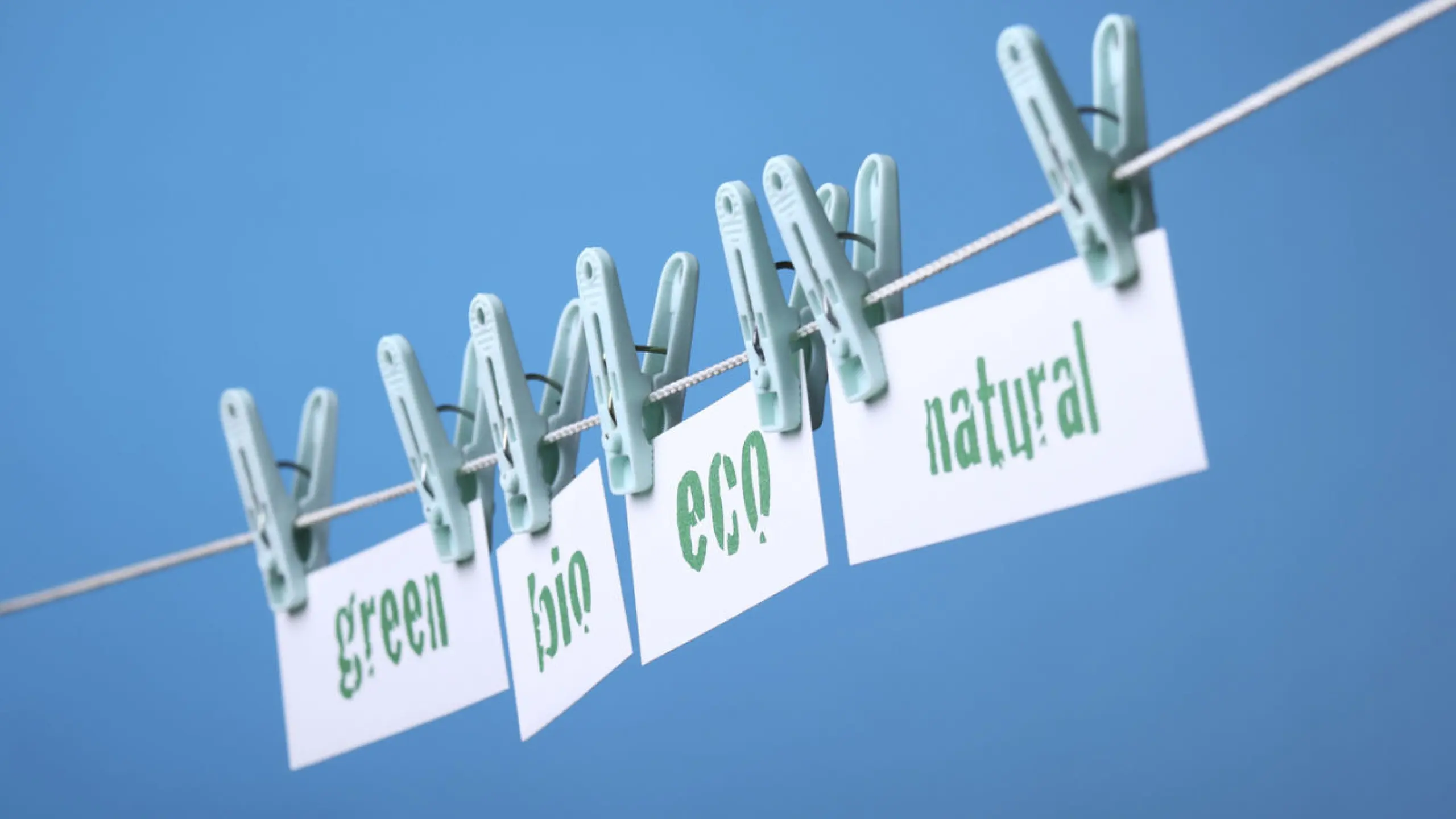 Greenwashing: FMA warnt vor schöngefärbten Finanzprodukten