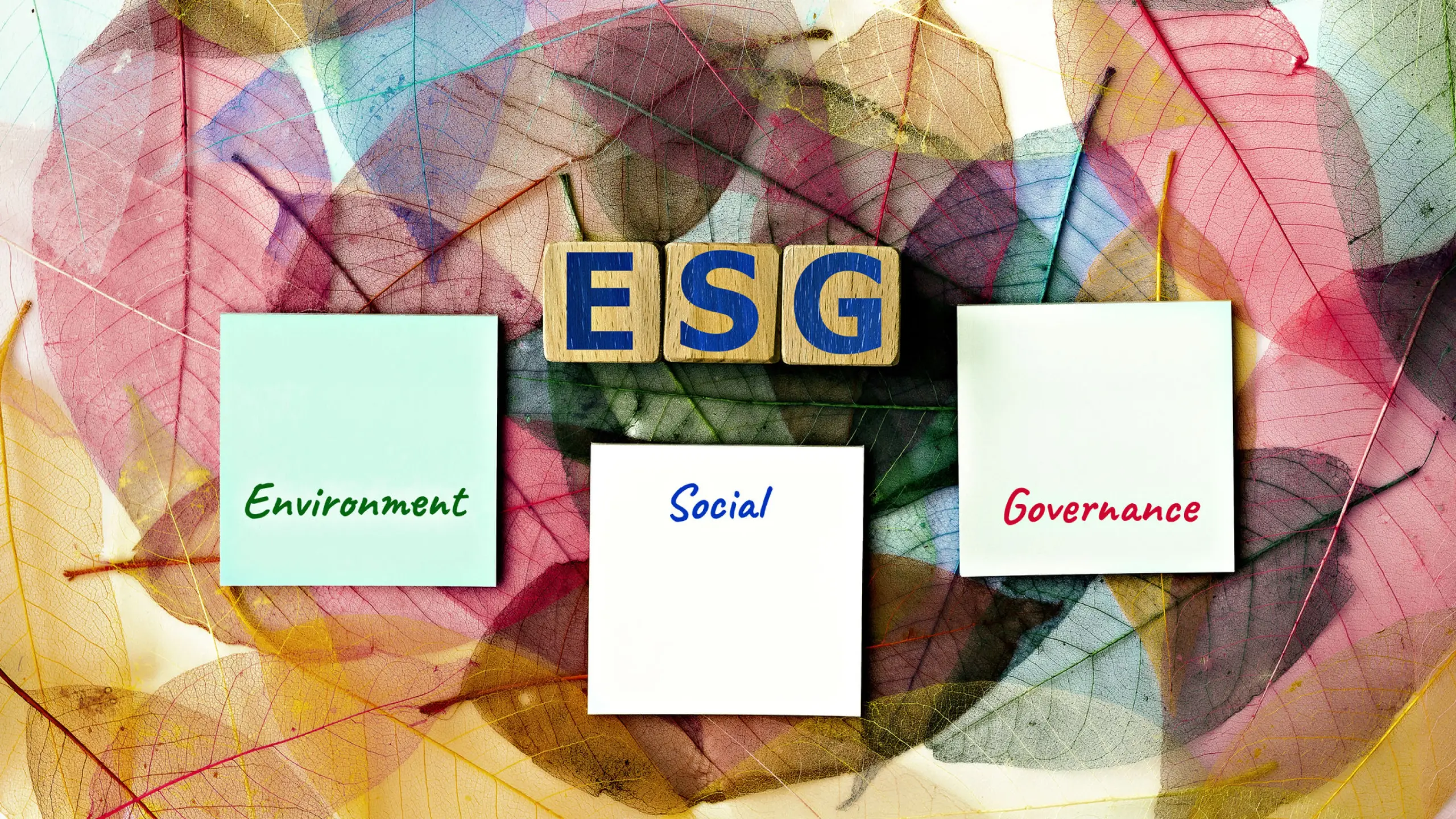 Gute Governance, gute Unternehmen: Das „G“ in ESG
